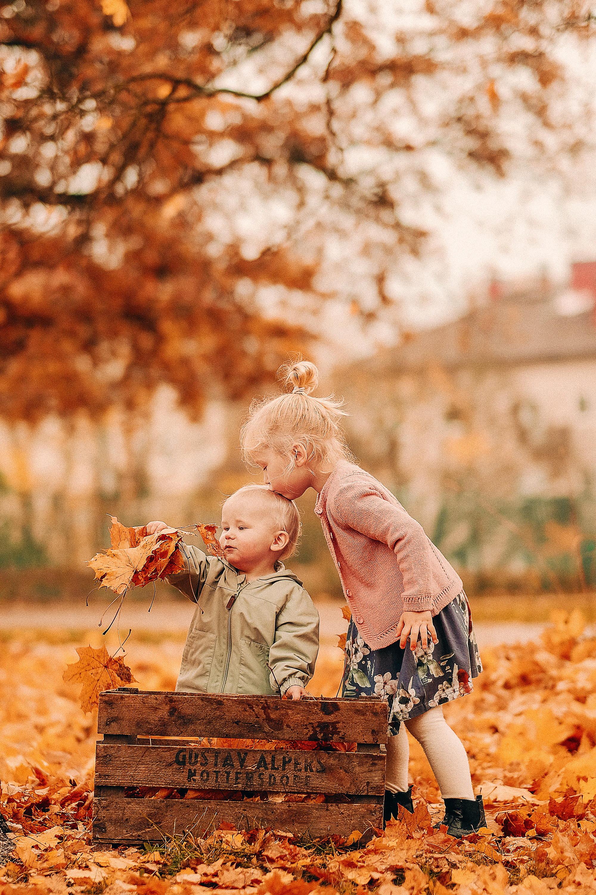 FAMILIES. Dimi Savolainen — Your Photographer in Finland