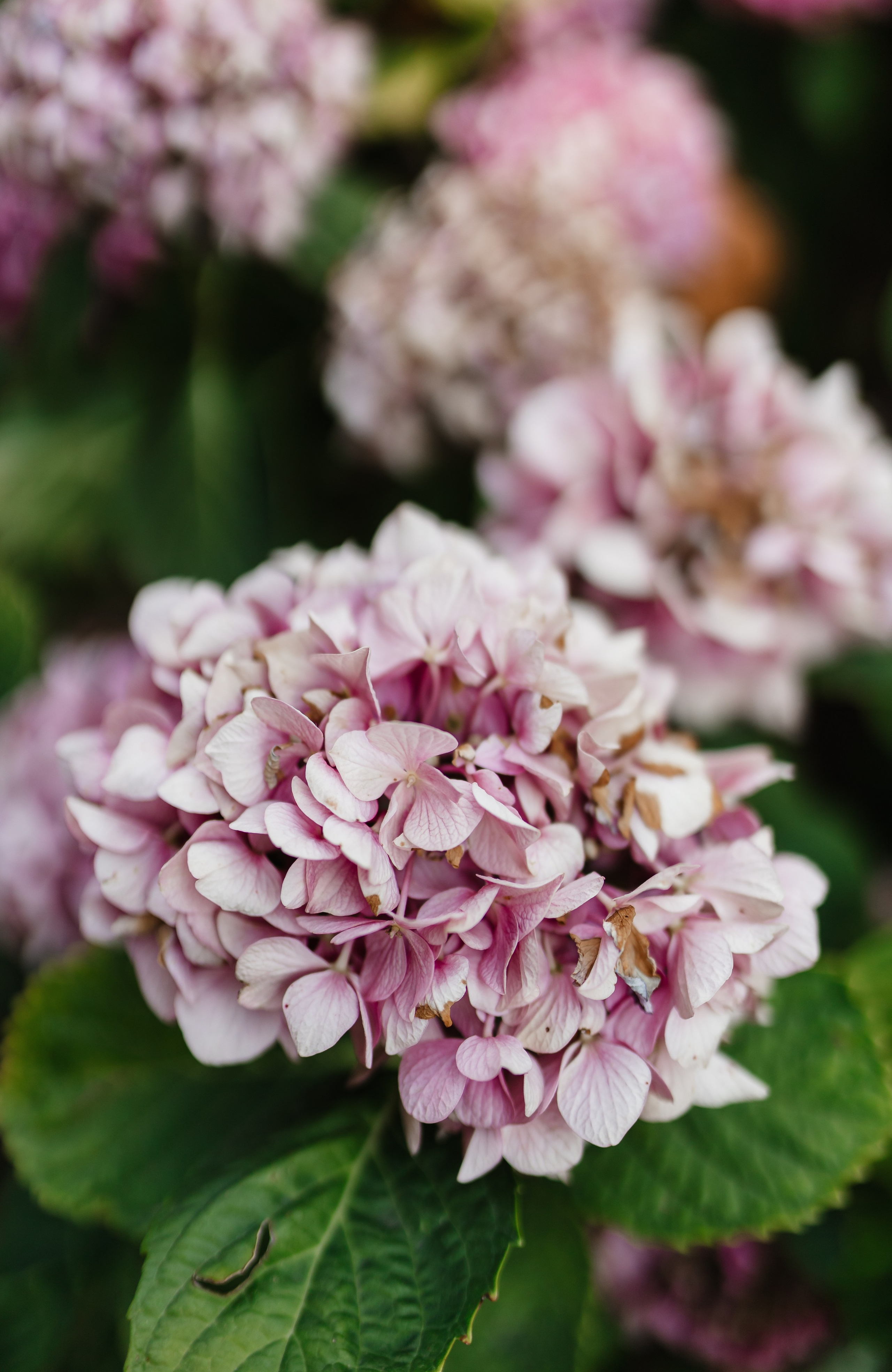 Naila & Oliver’s Wedding at Villa Balbianello, Lake Como. YES I DO PRODUCTION — Wedding photography&videography