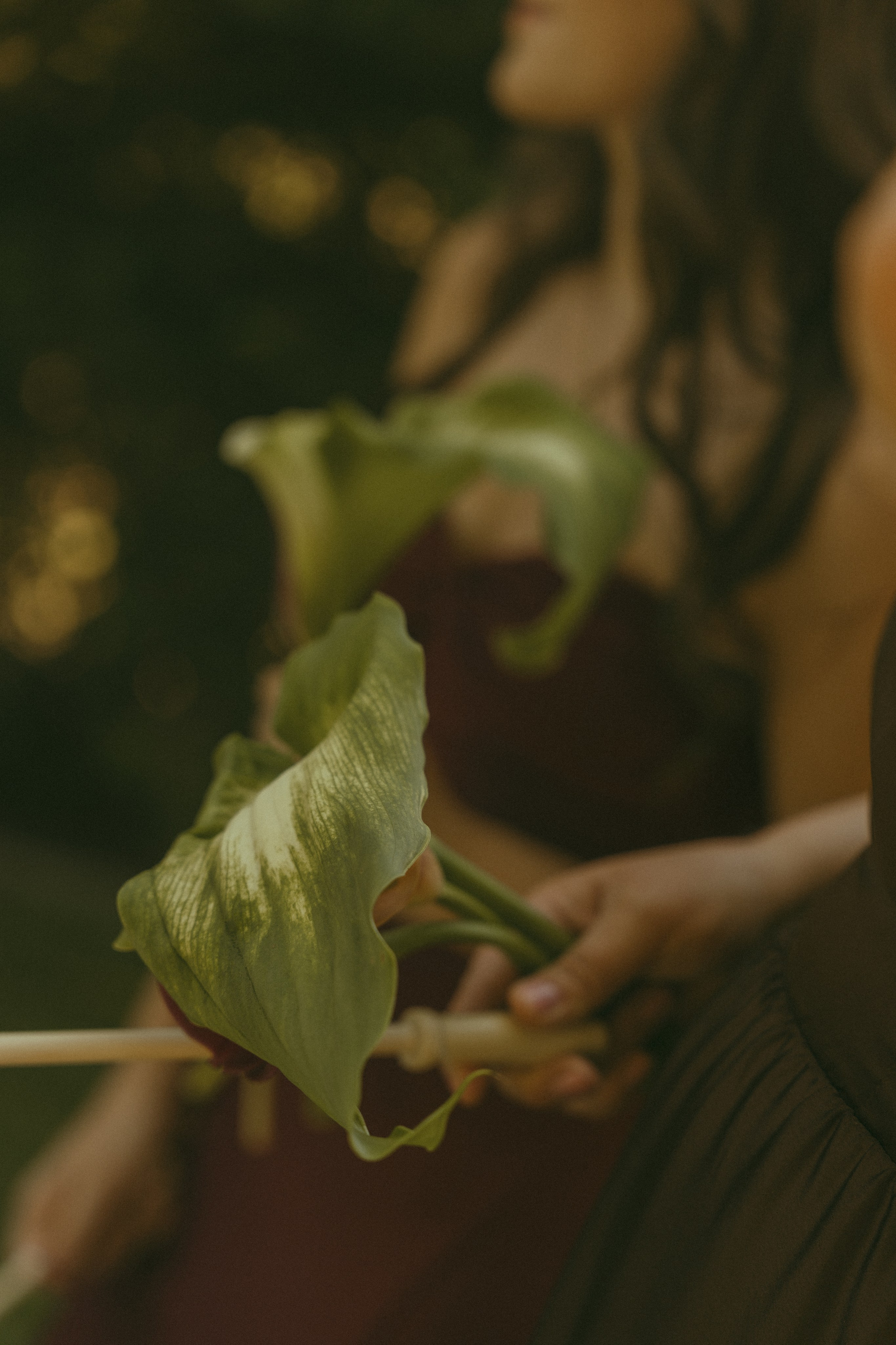 Wedding | San Francisco. San Francisco Wedding & Elopement Photographeк | photography_of.nadia