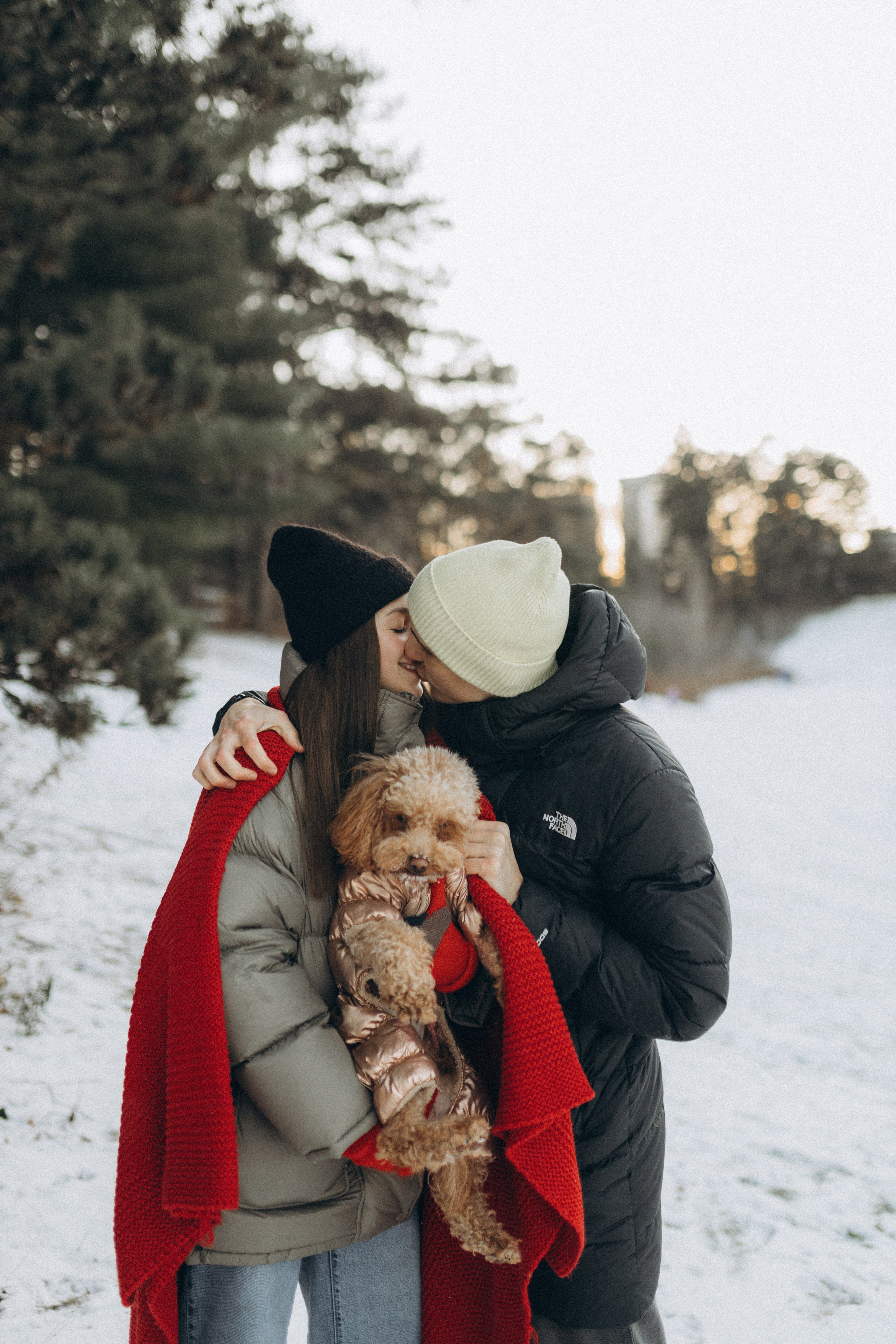 Winter magic. Chernenko.photography