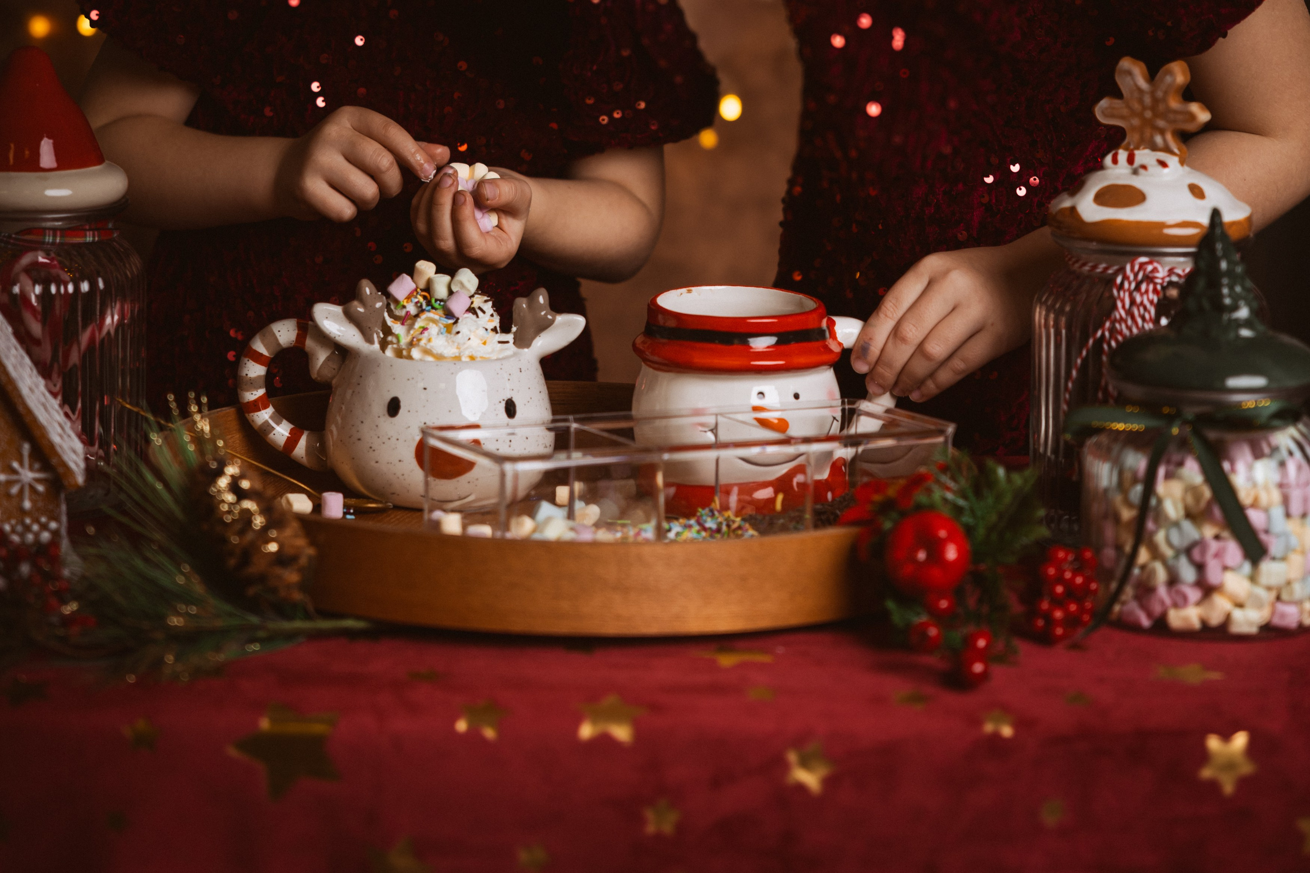 Vánoční focení 2025. Lifestyle and Family Photographer in Pisek Oxana Telupilova