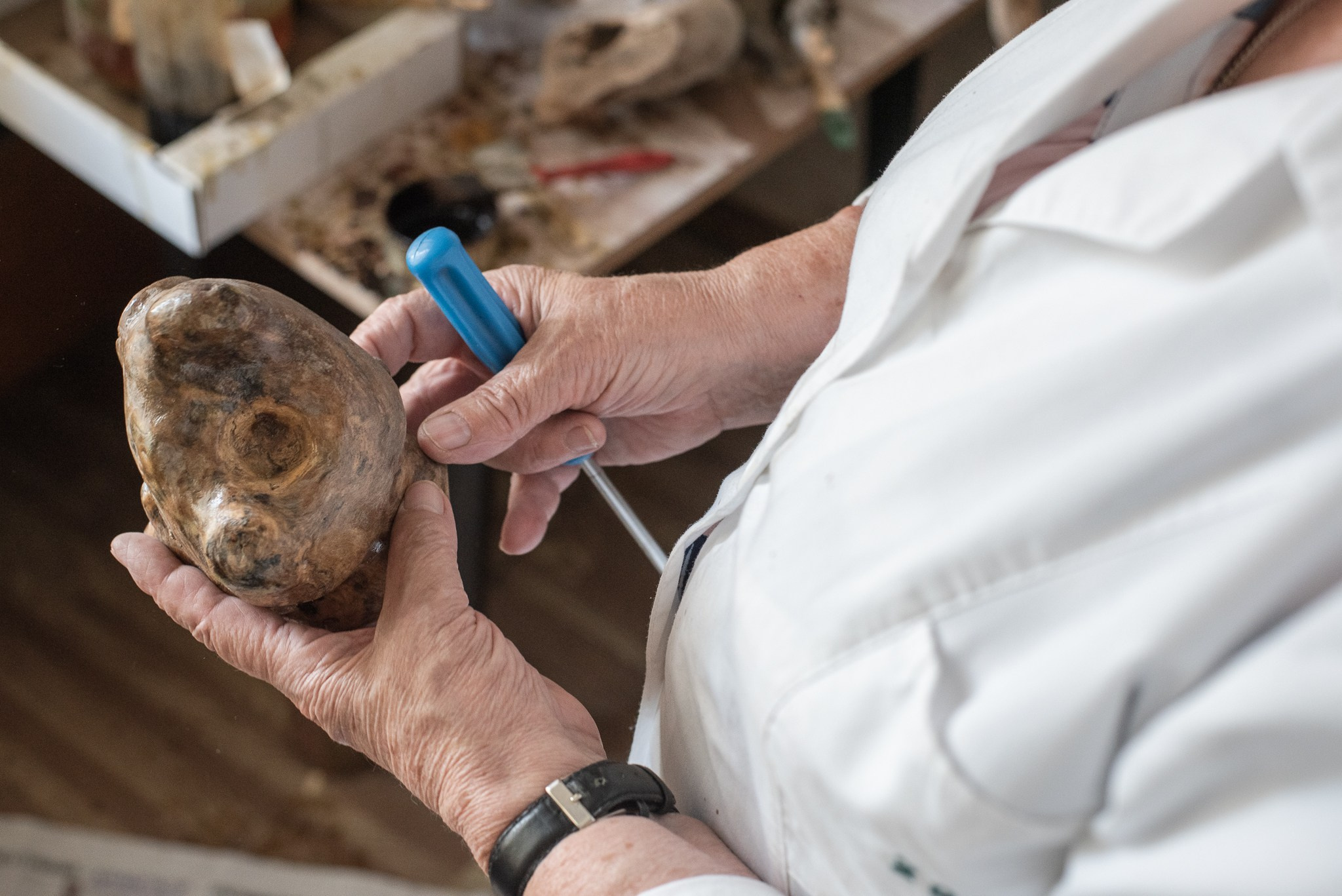 Belova's office. Документальный и репортажный фотограф Айгуль Михайлова