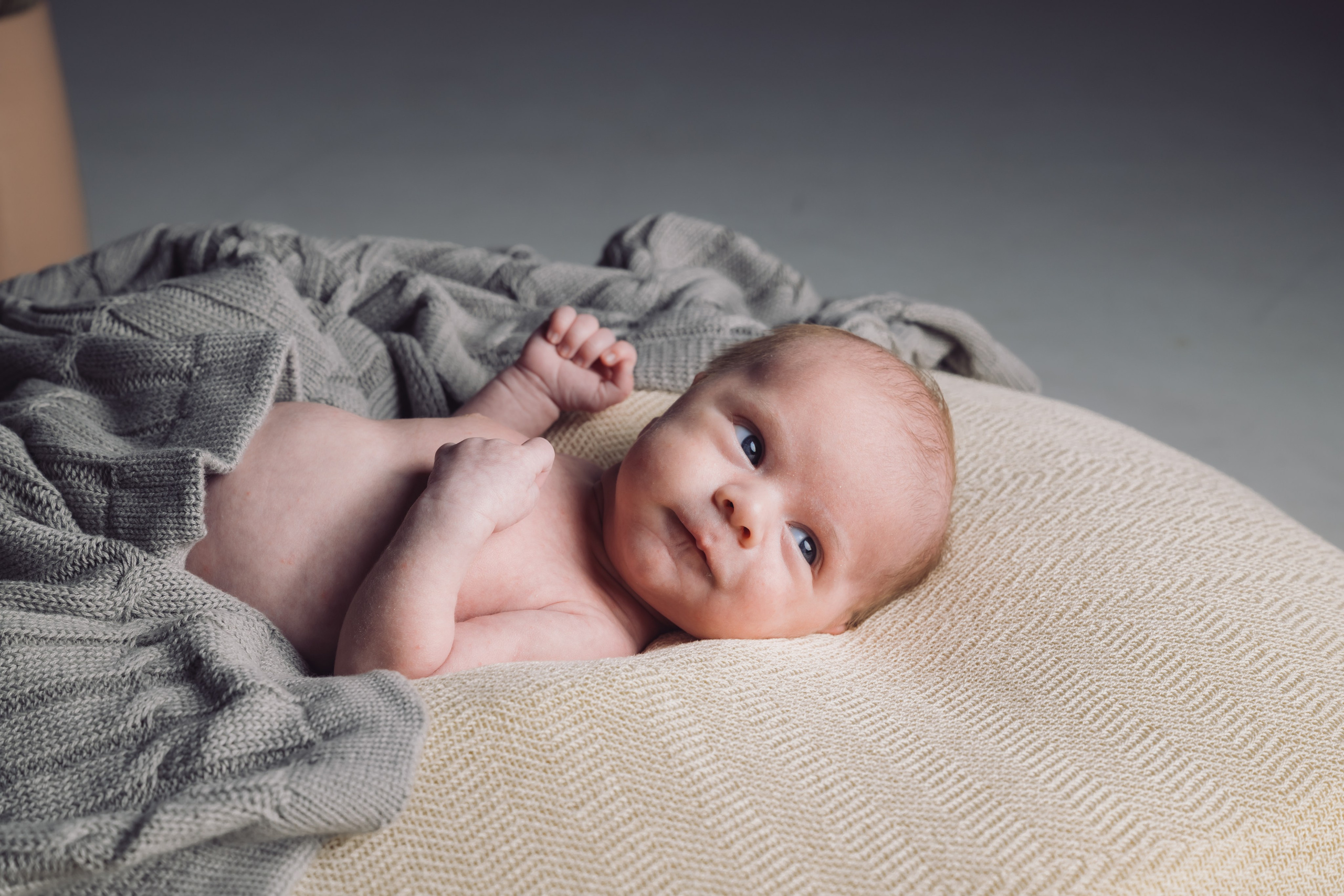 Barn- og familiefotografering. Din fotograf i Narvik kommune