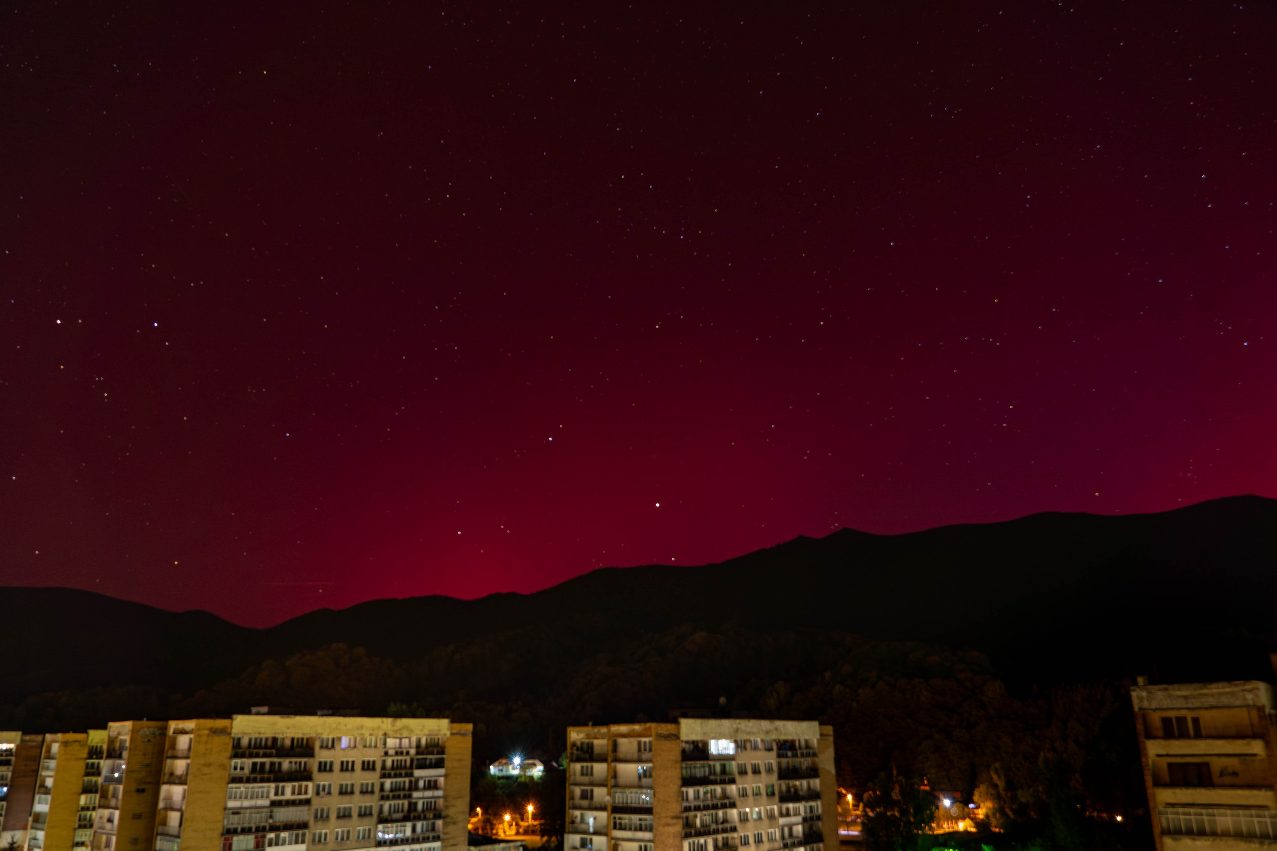 Nature. Alecsandru Braicu — Sports Photographer