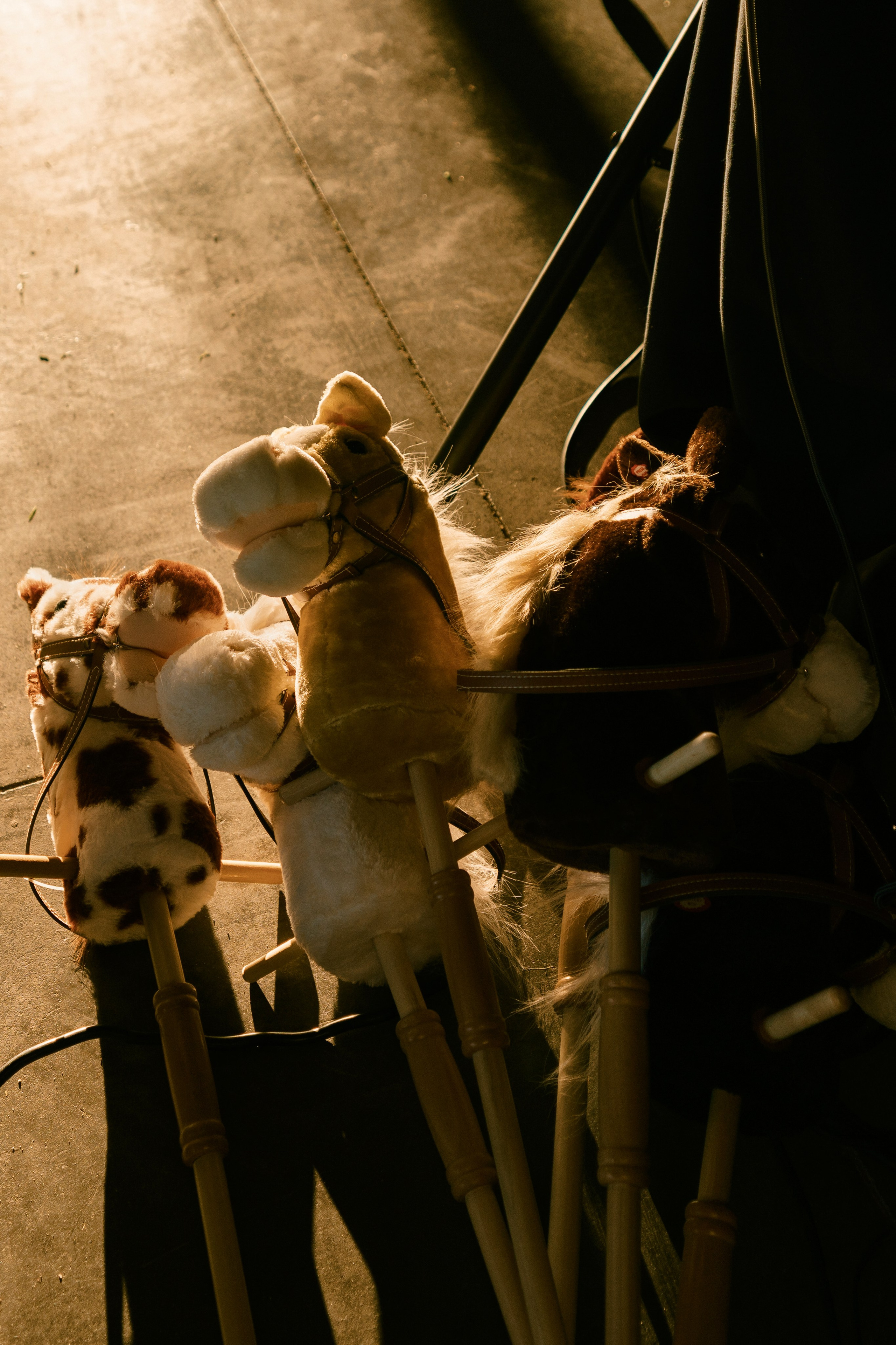 Celina & Chad Wedding. Napa Valley, California. Wedding Photography & Videography Team in California, Los Angeles, San Francisco, San Diego and Travel