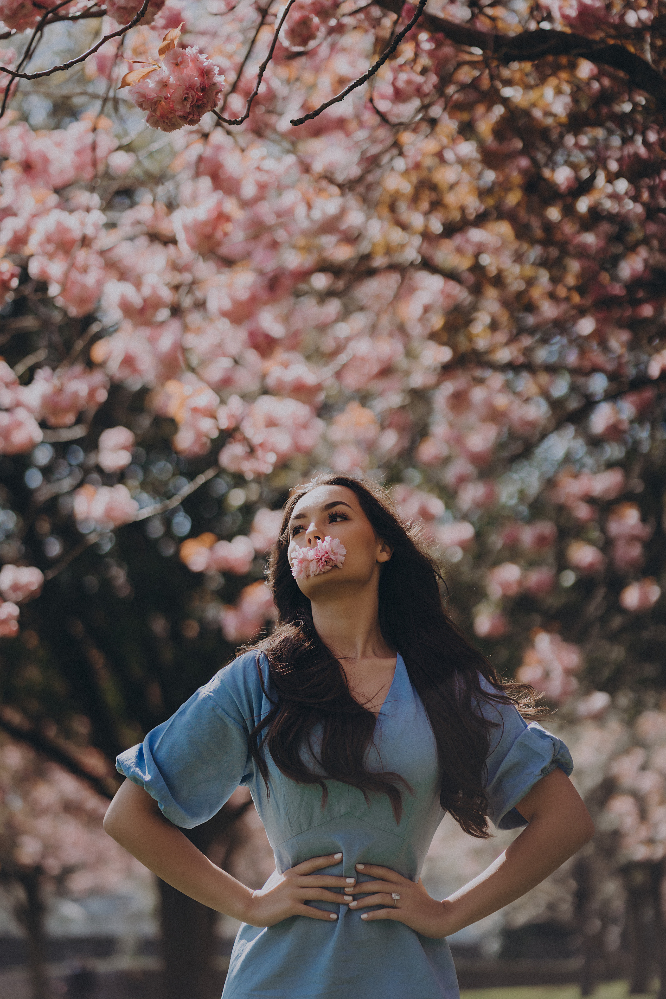 Eliza in cherry trees. Maternity/Love story/Wedding photographer