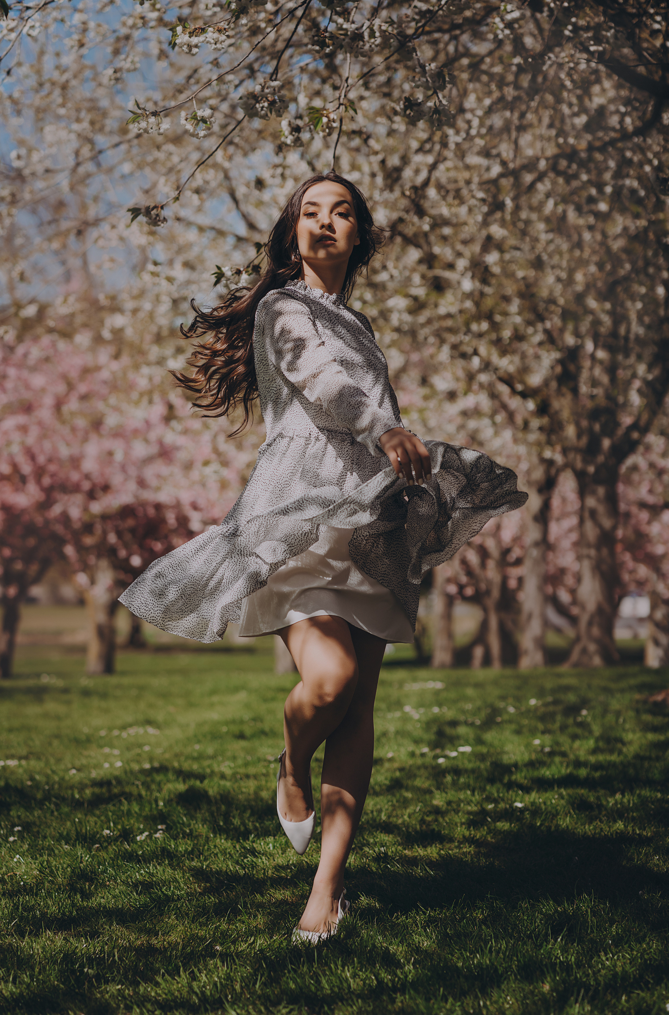 Eliza in cherry trees. Maternity/Love story/Wedding photographer