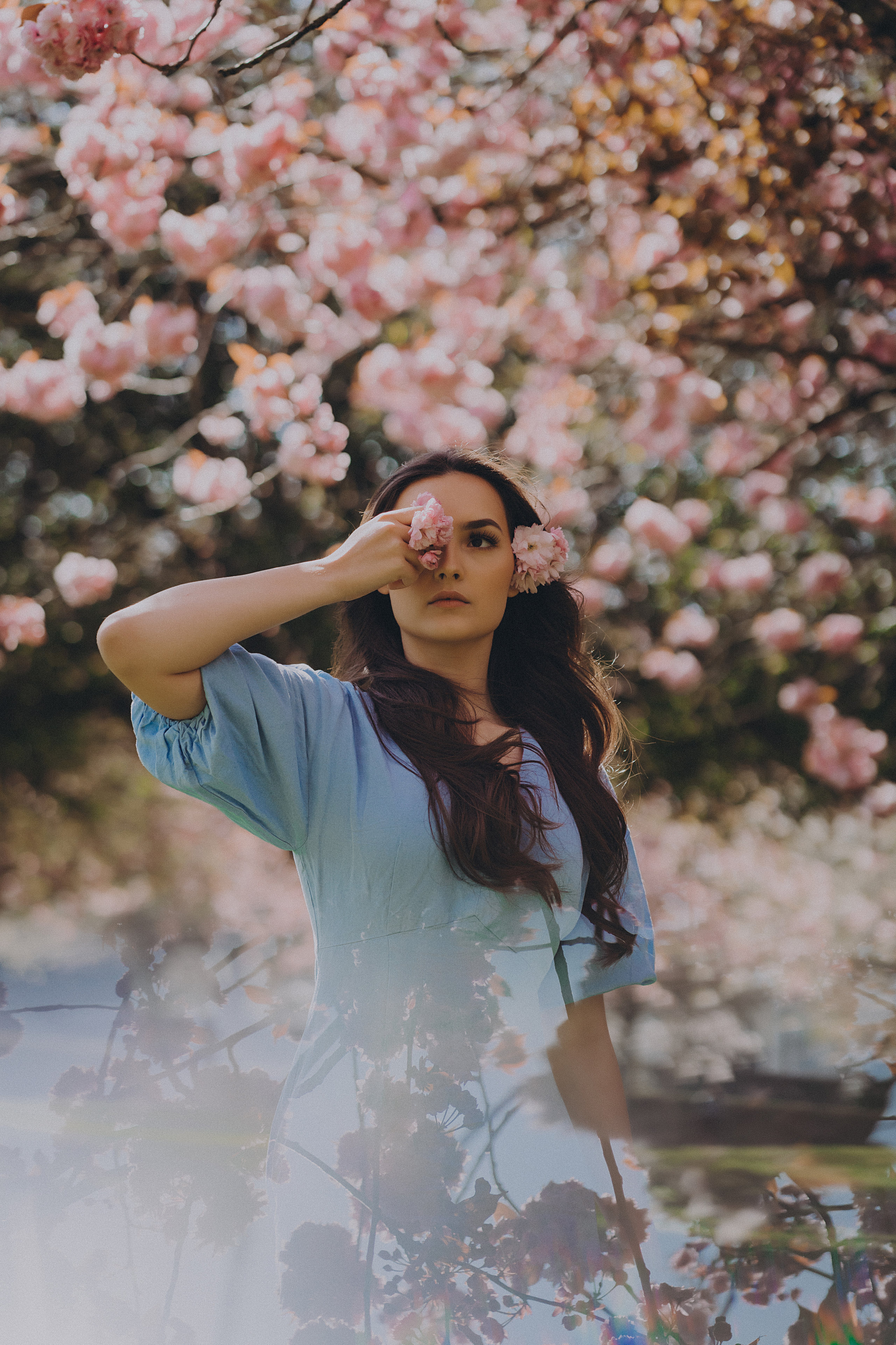 Eliza in cherry trees. Maternity/Love story/Wedding photographer