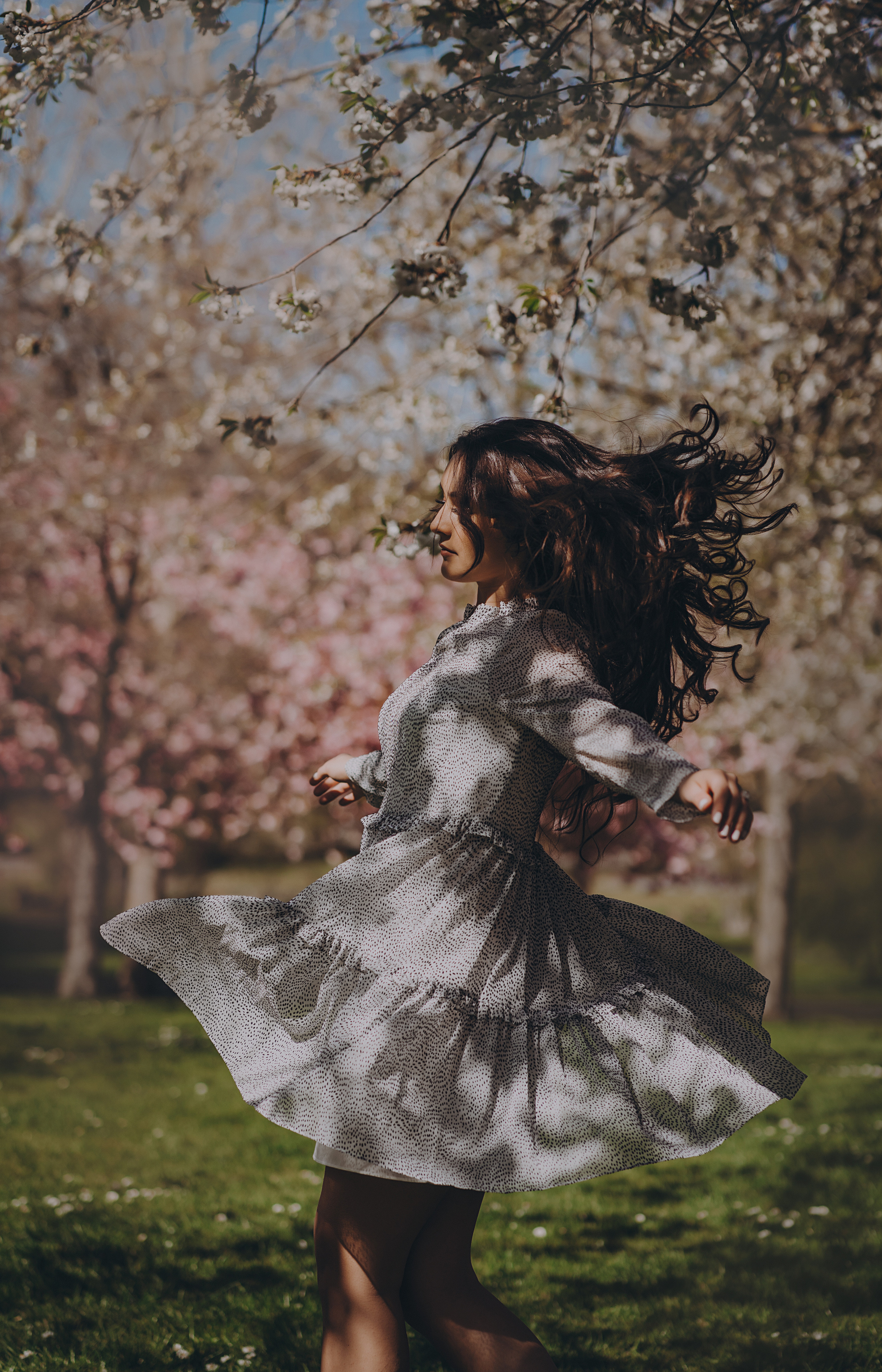 Eliza in cherry trees. Maternity/Love story/Wedding photographer