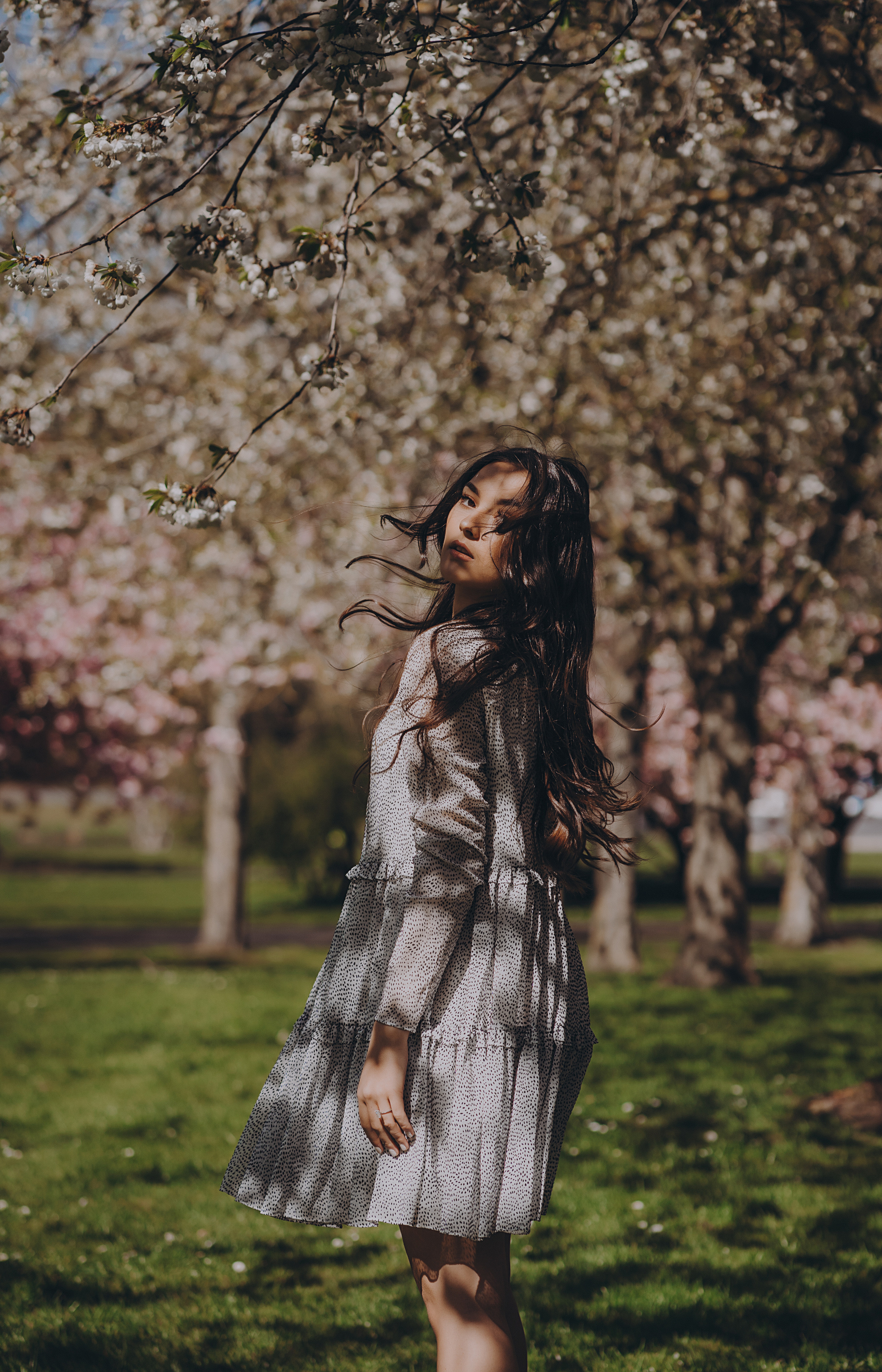 Eliza in cherry trees. Maternity/Love story/Wedding photographer