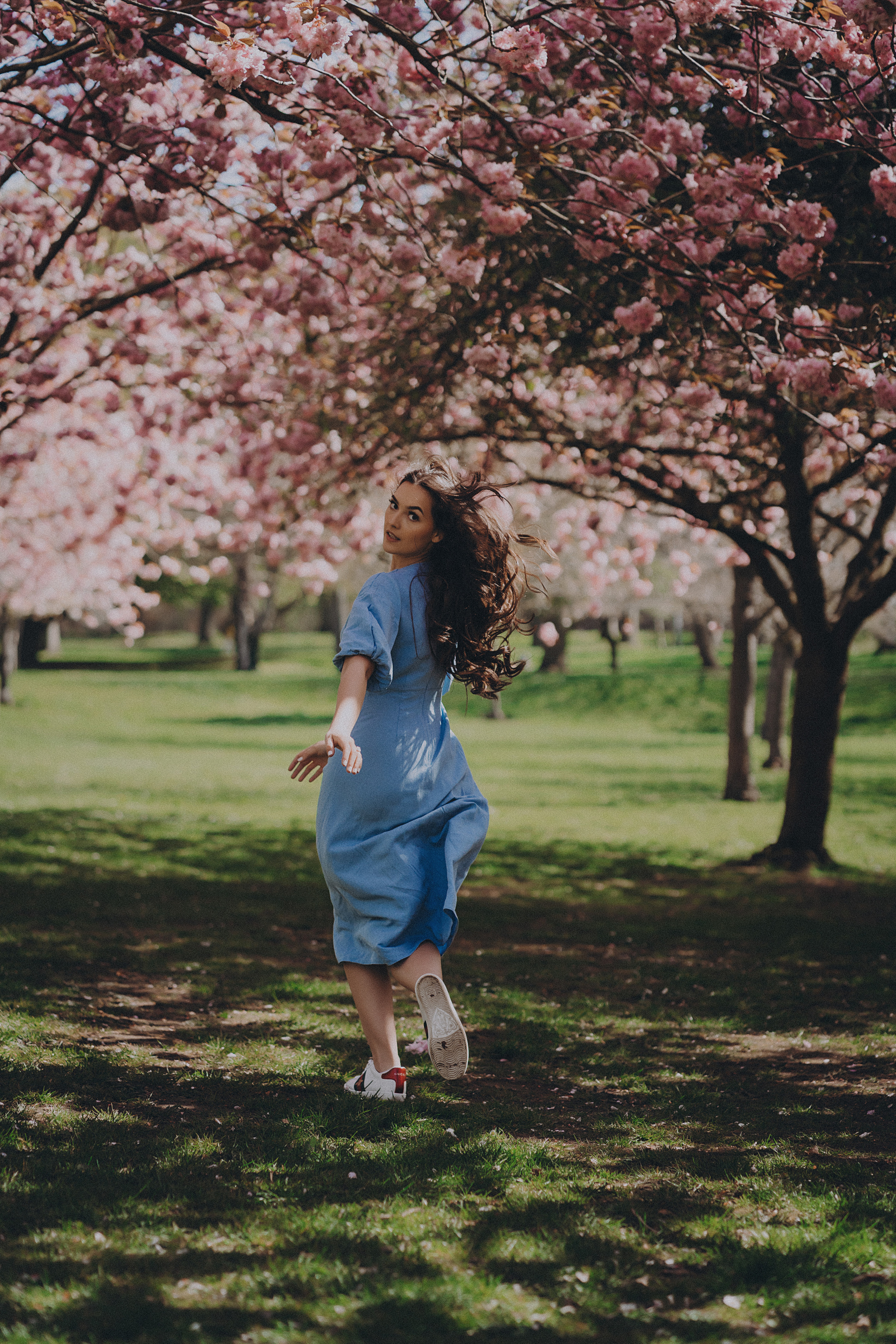 Eliza in cherry trees. Maternity/Love story/Wedding photographer