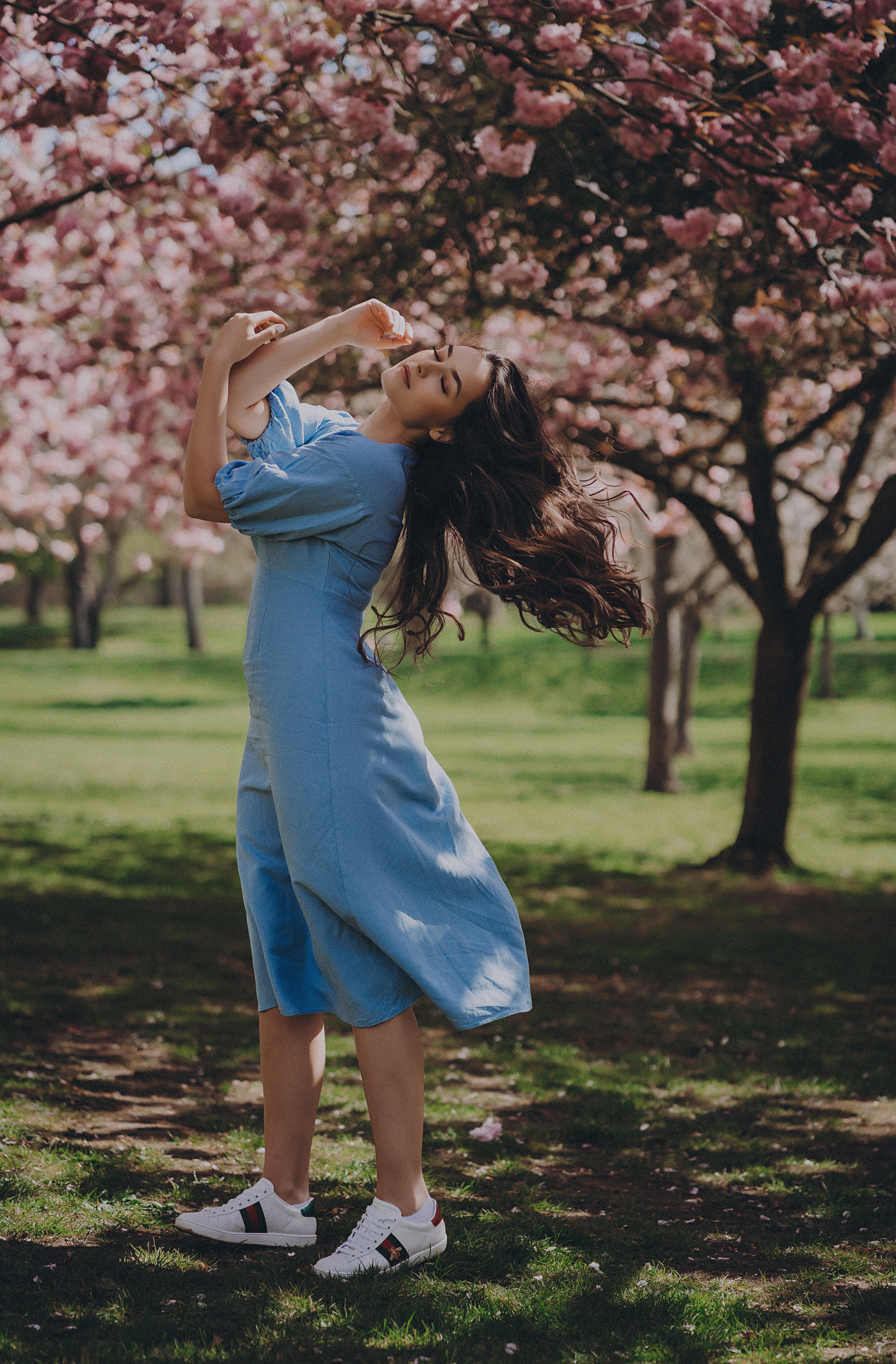 Eliza in cherry trees. Maternity/Love story/Wedding photographer