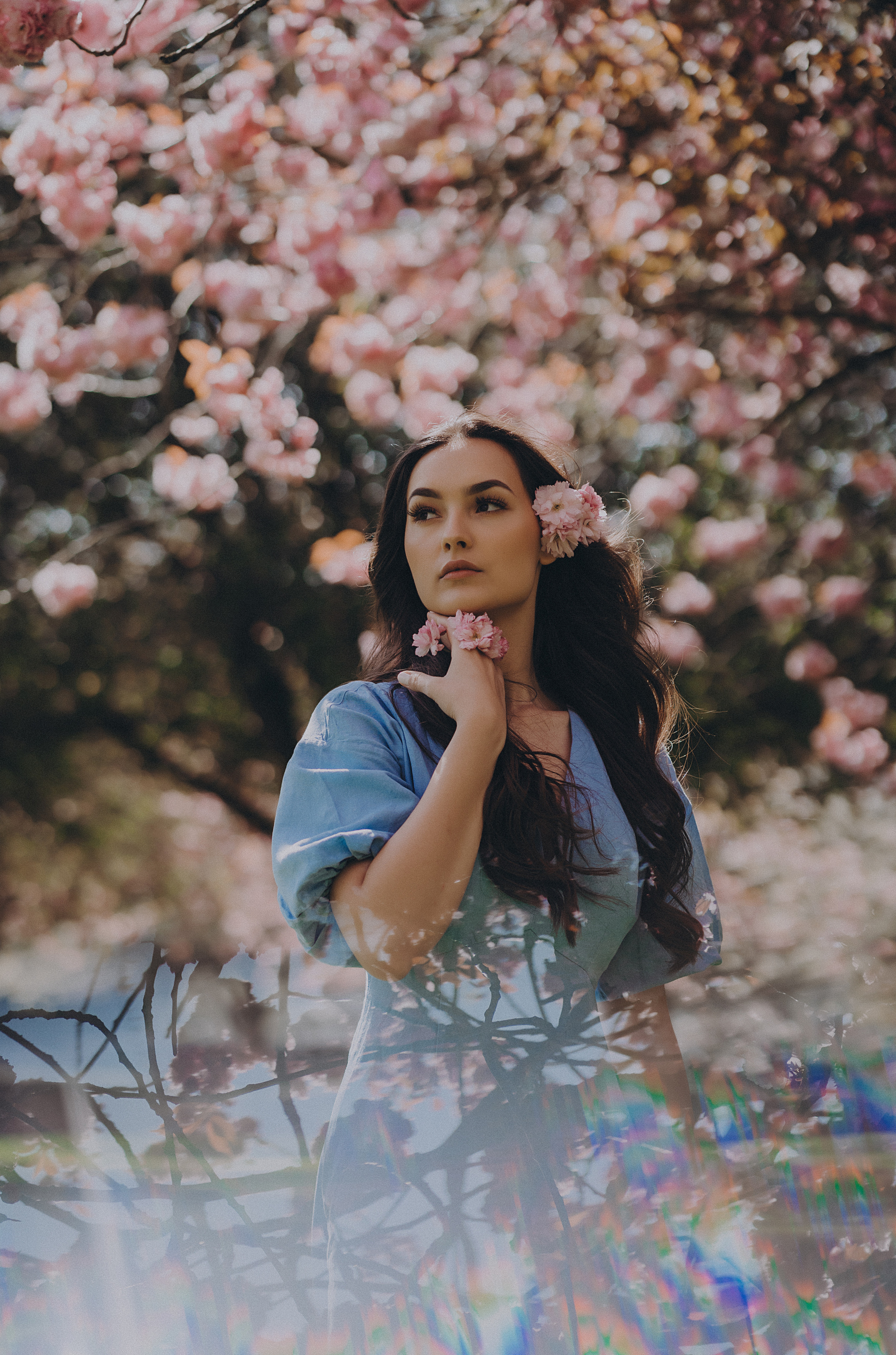 Eliza in cherry trees. Maternity/Love story/Wedding photographer