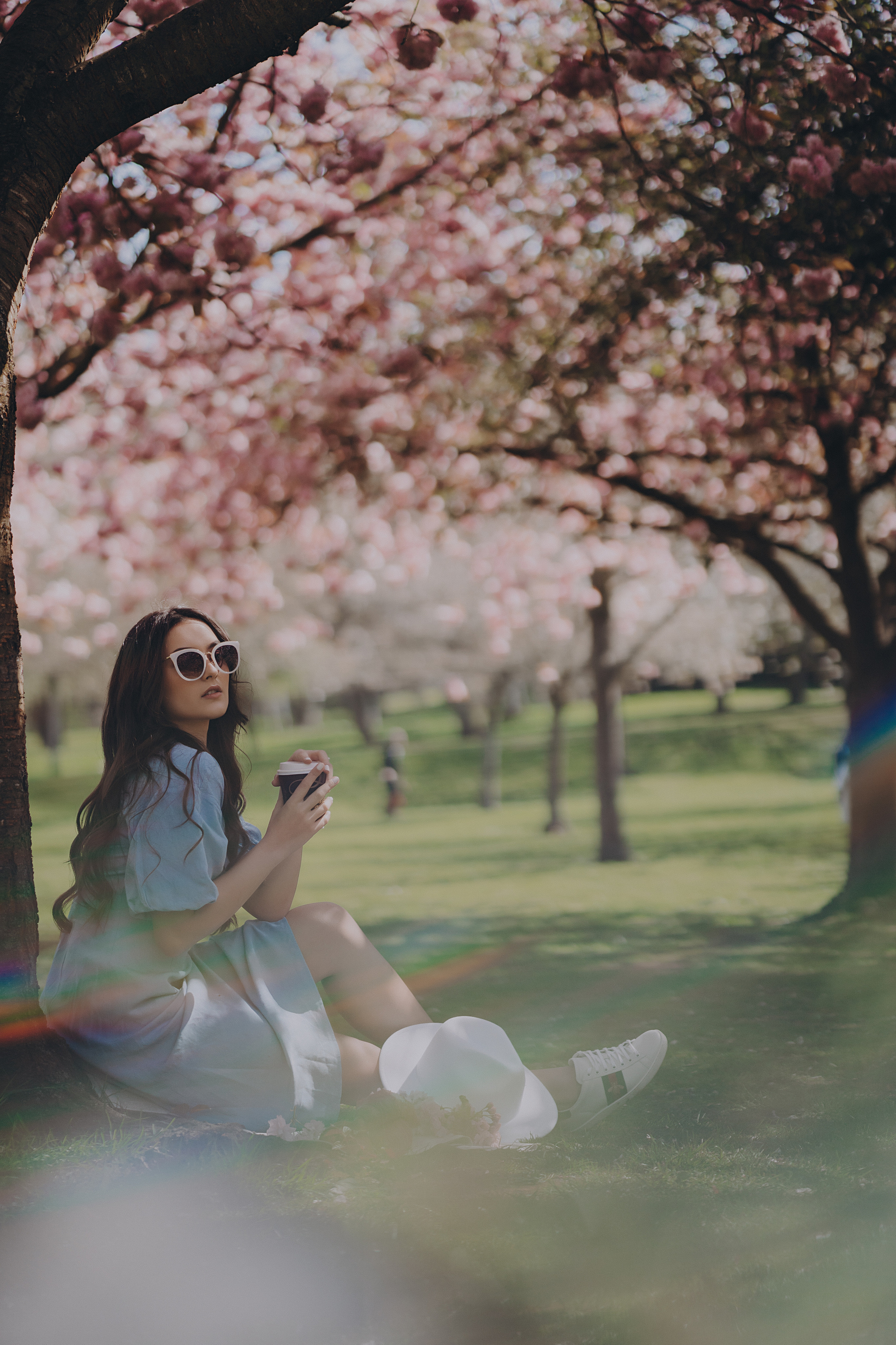 Eliza in cherry trees. Maternity/Love story/Wedding photographer