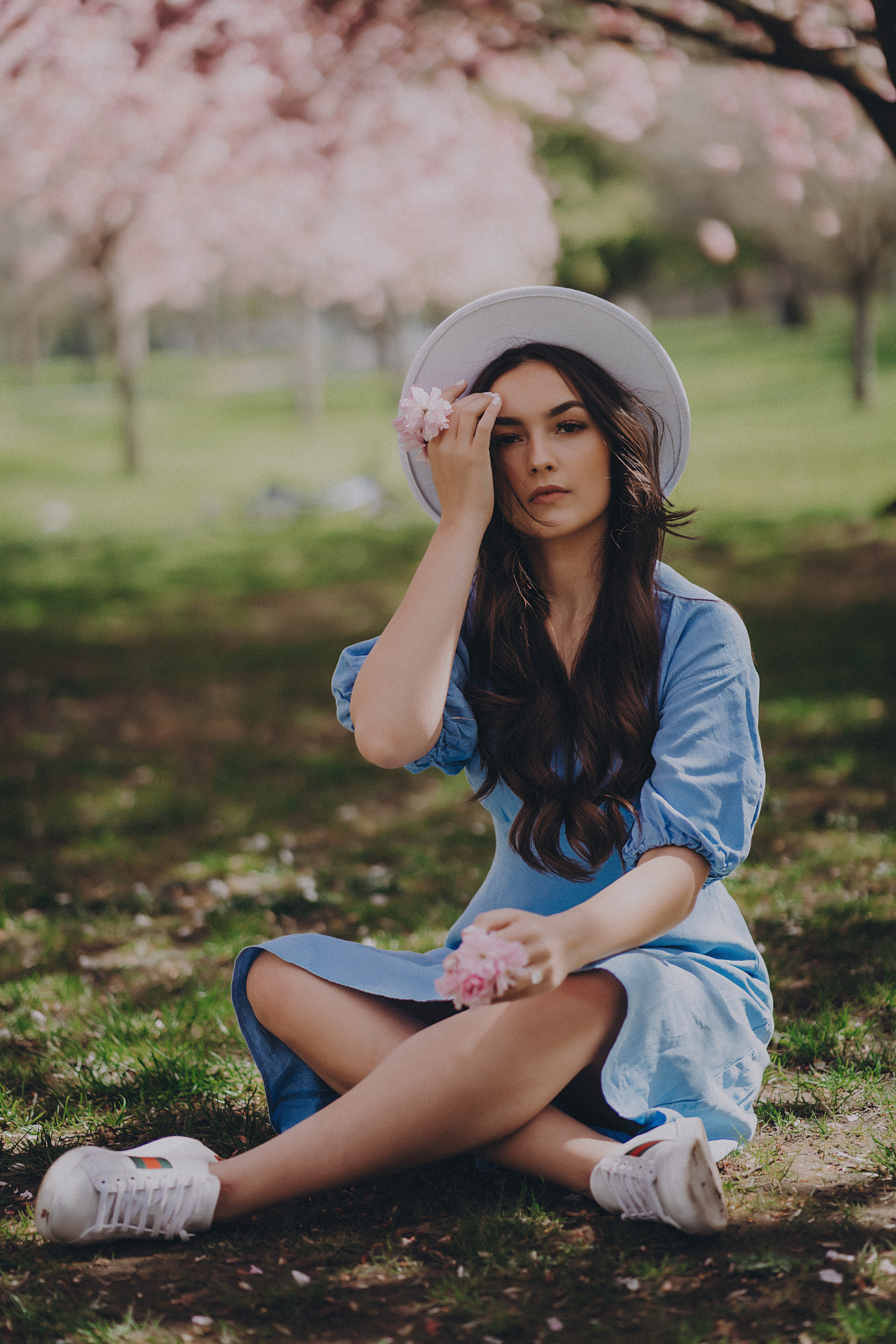 Eliza in cherry trees. Maternity/Love story/Wedding photographer
