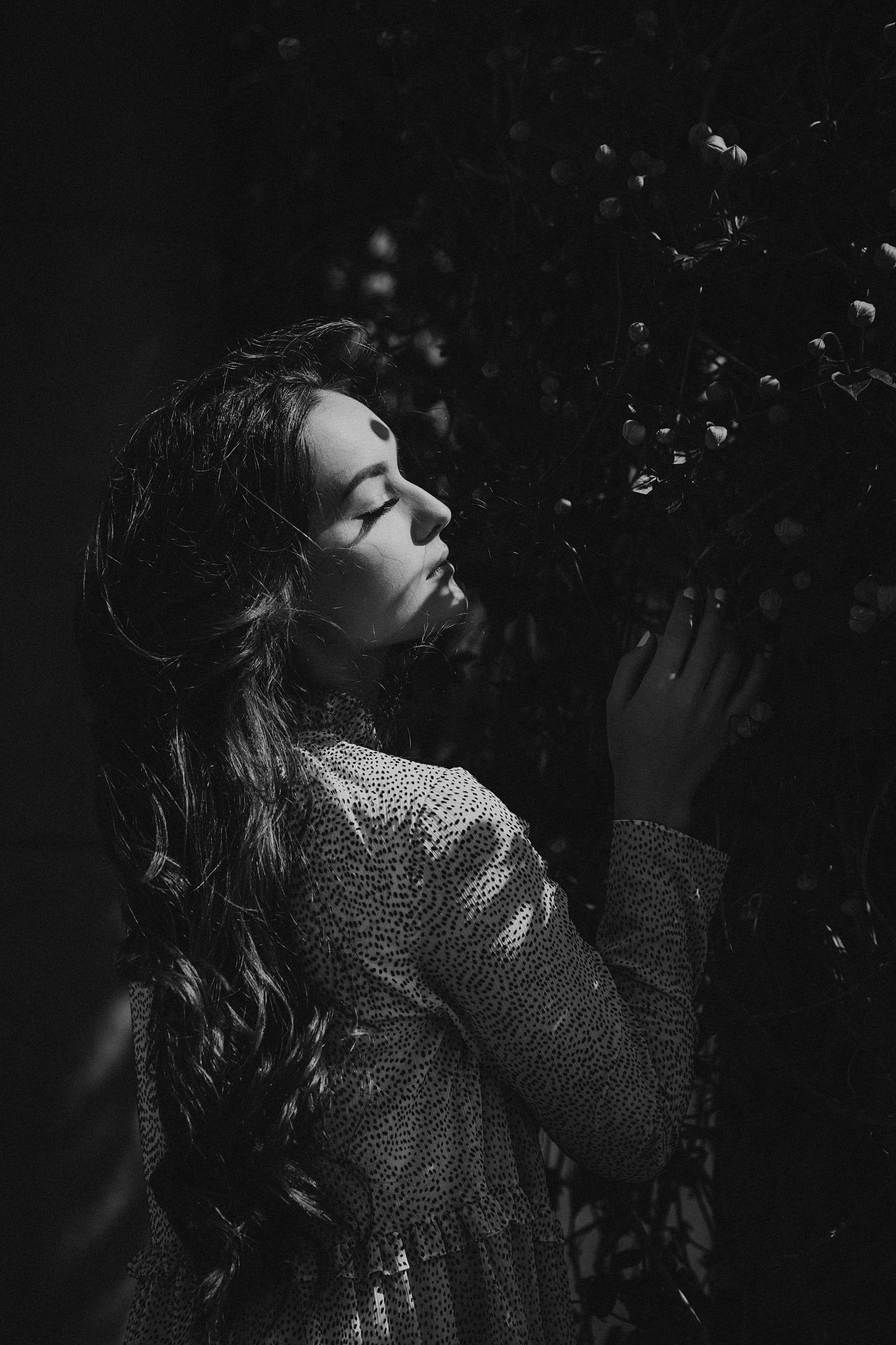 Eliza in cherry trees. Maternity/Love story/Wedding photographer