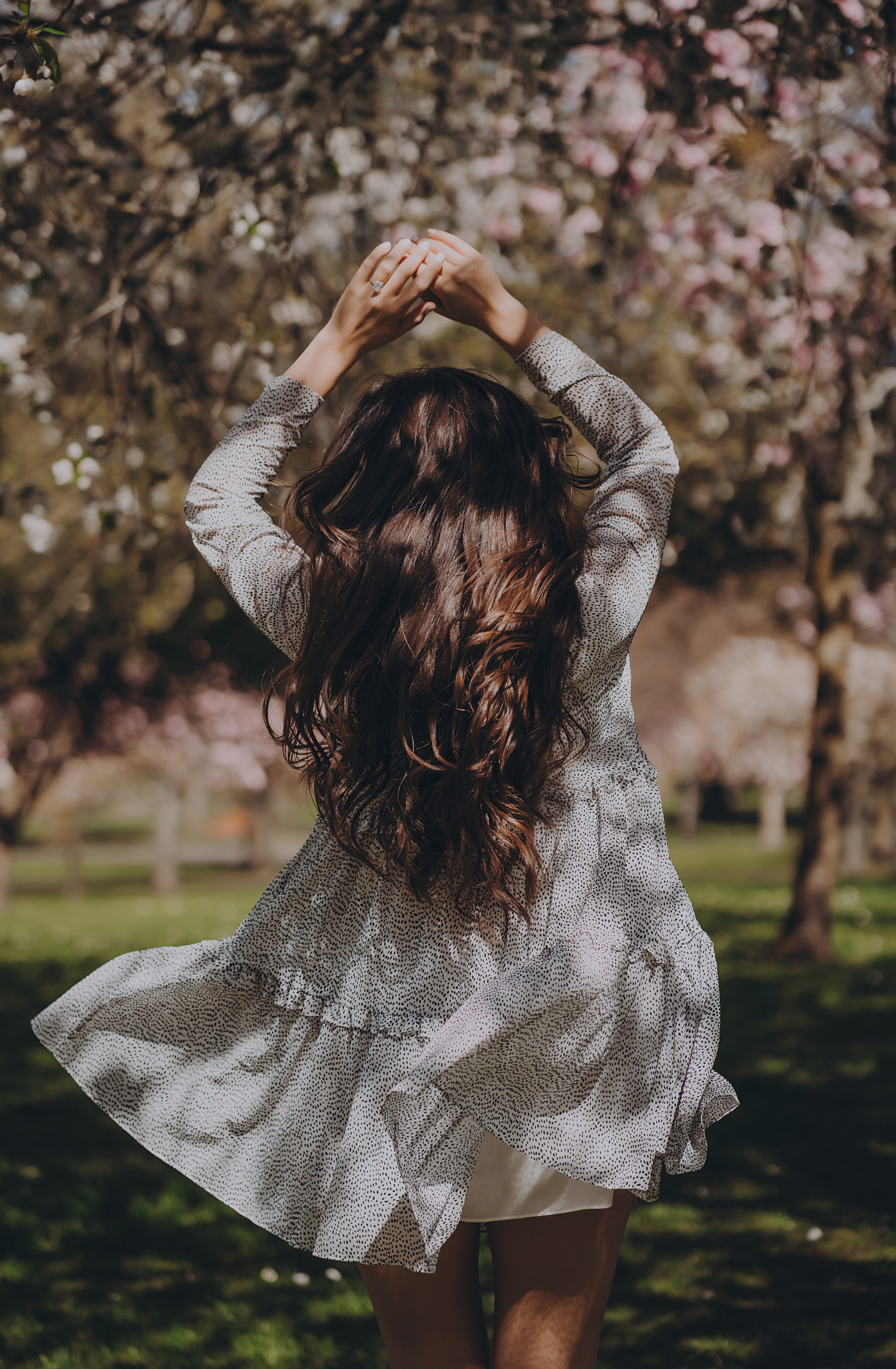 Eliza in cherry trees. Maternity/Love story/Wedding photographer