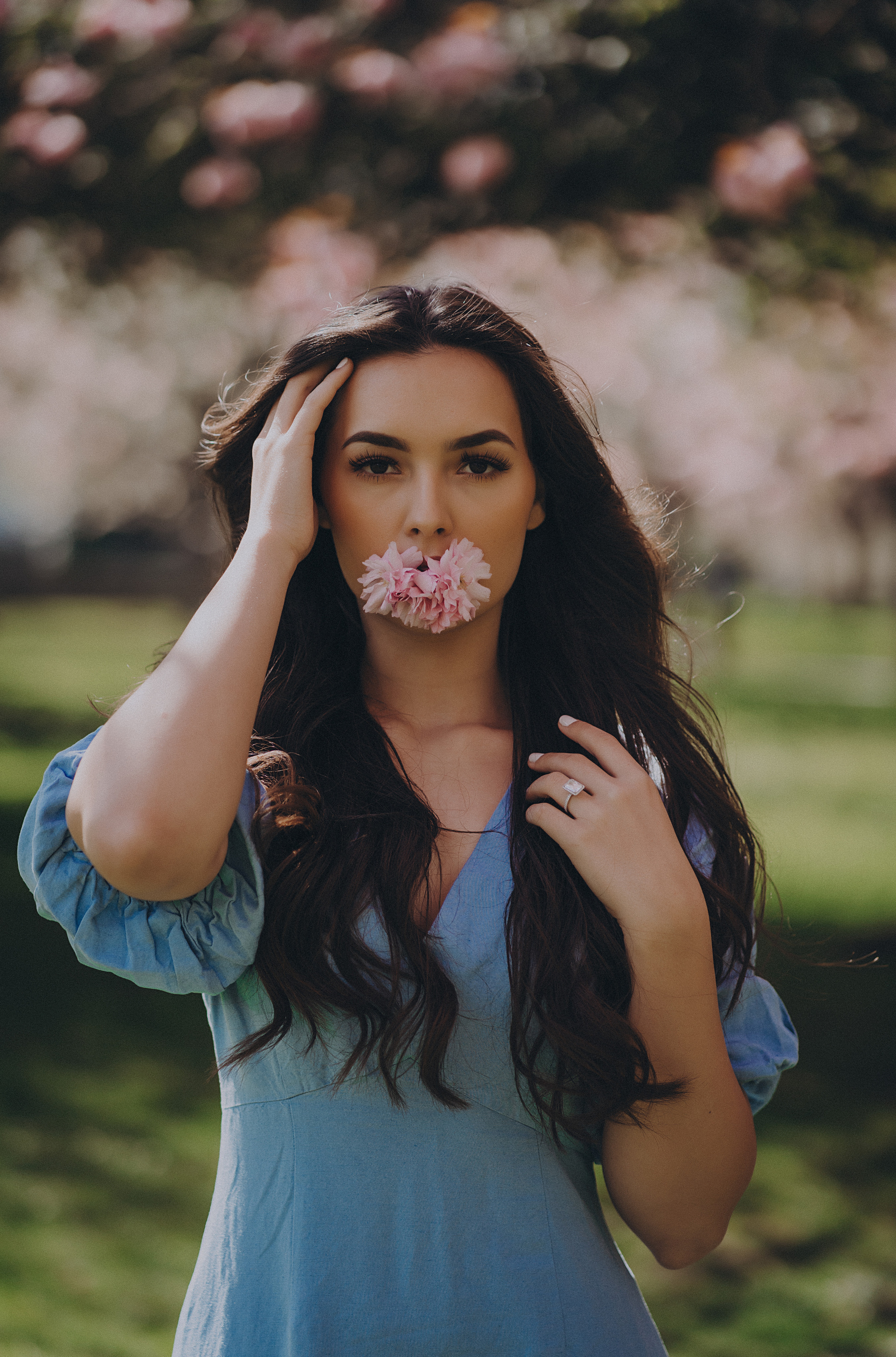 Eliza in cherry trees. Maternity/Love story/Wedding photographer