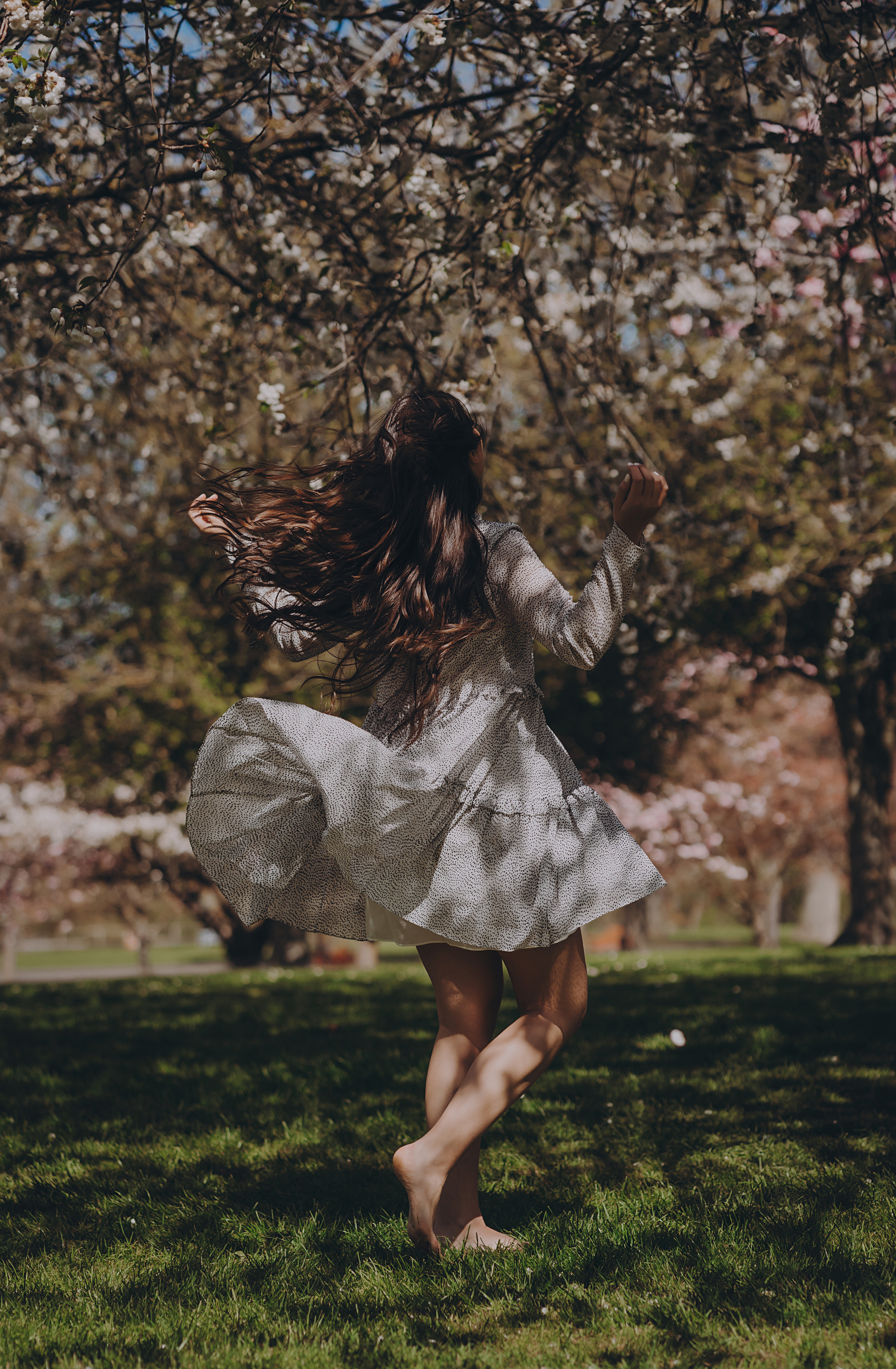 Eliza in cherry trees. Maternity/Love story/Wedding photographer
