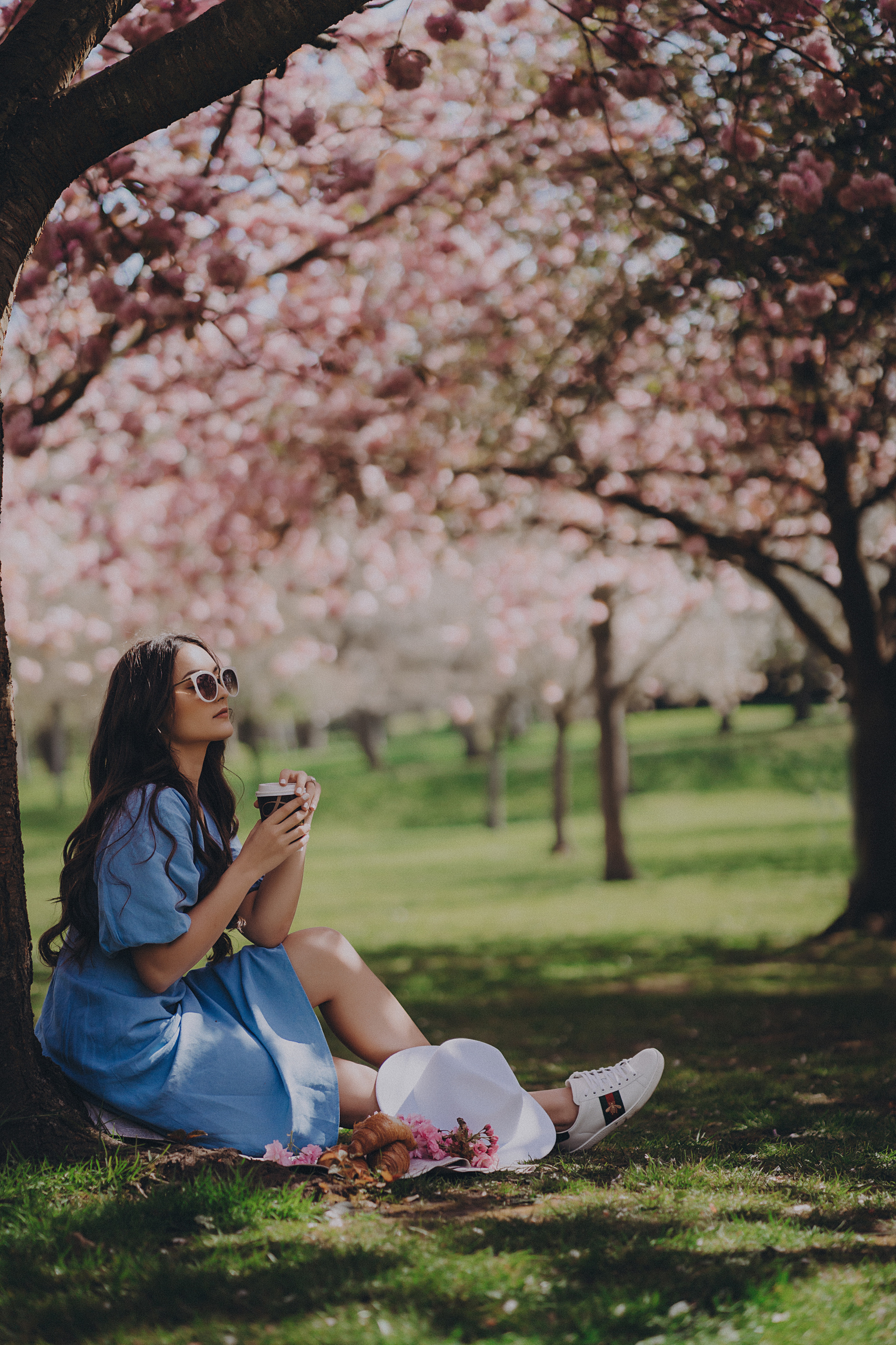 Eliza in cherry trees. Maternity/Love story/Wedding photographer