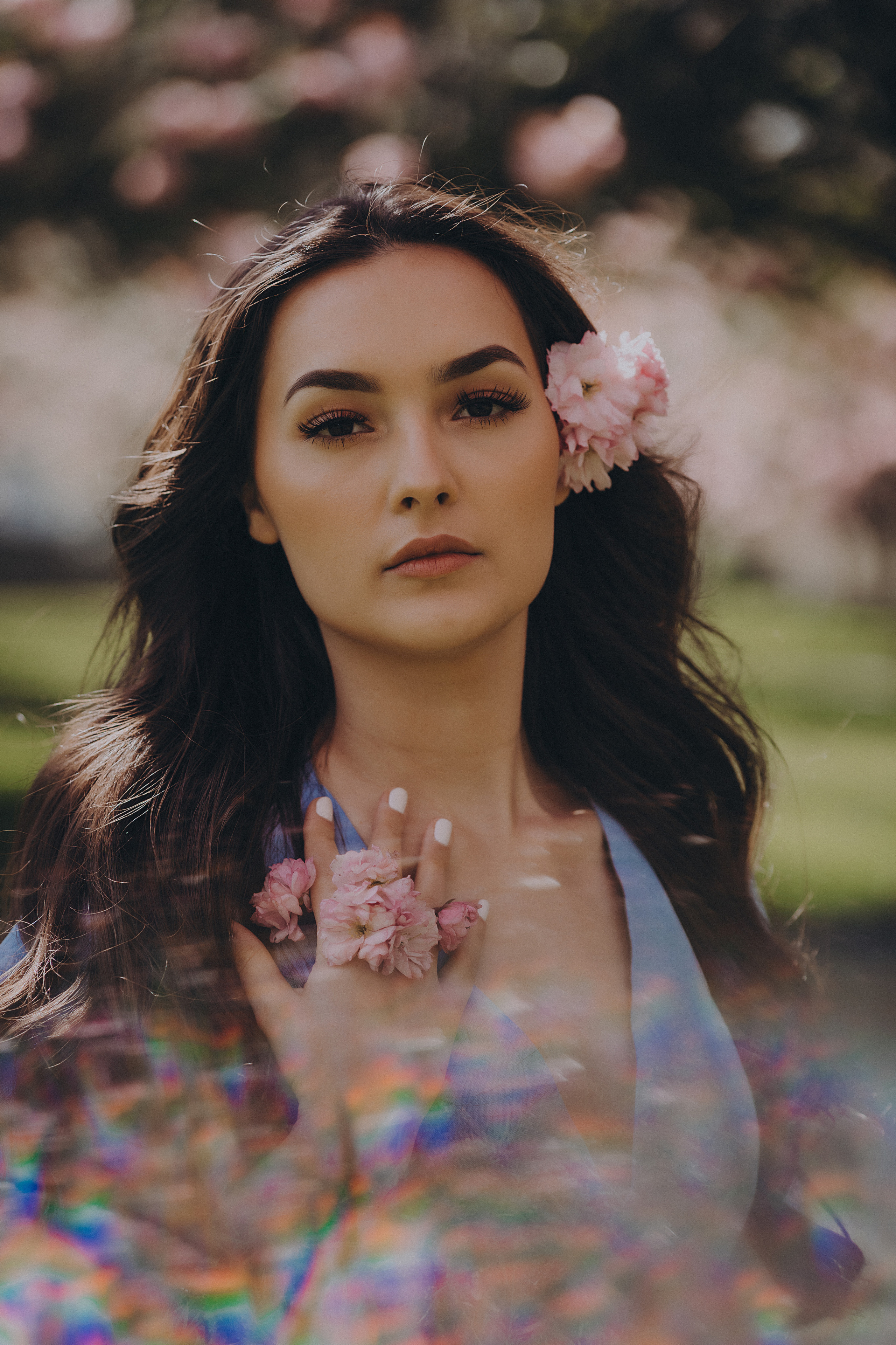 Eliza in cherry trees. Maternity/Love story/Wedding photographer
