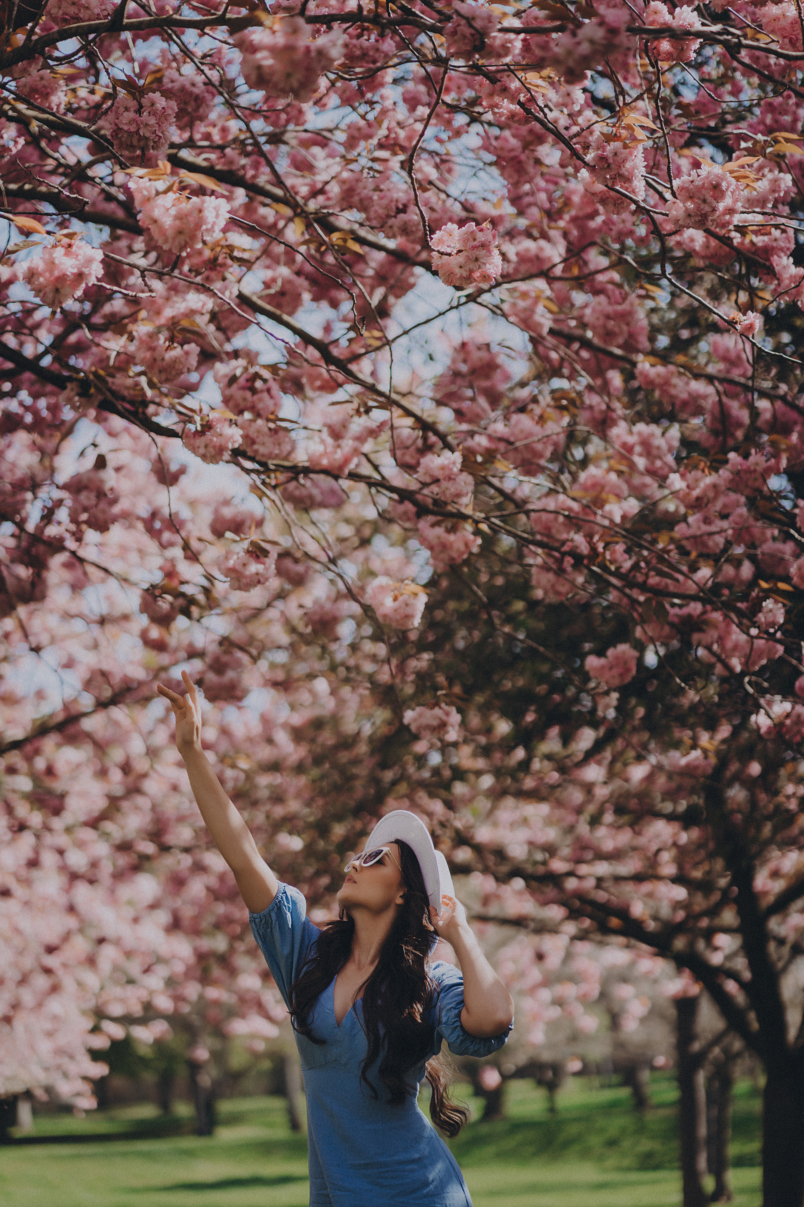 Eliza in cherry trees. Maternity/Love story/Wedding photographer