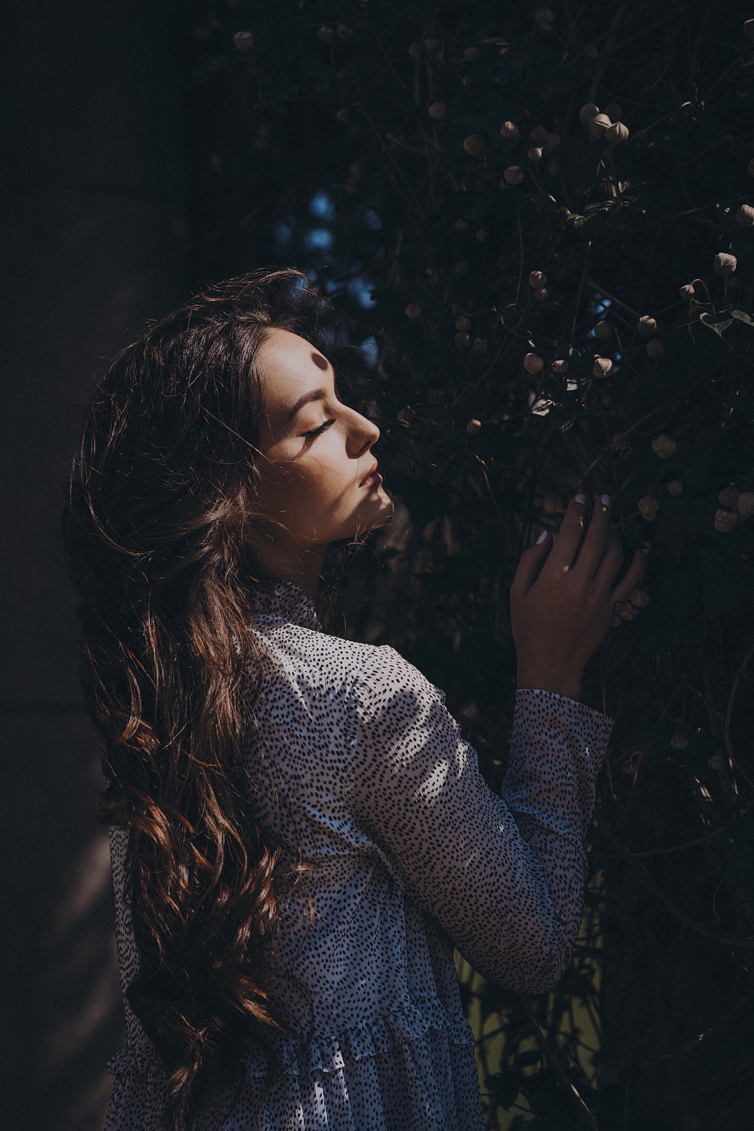 Eliza in cherry trees. Maternity/Love story/Wedding photographer