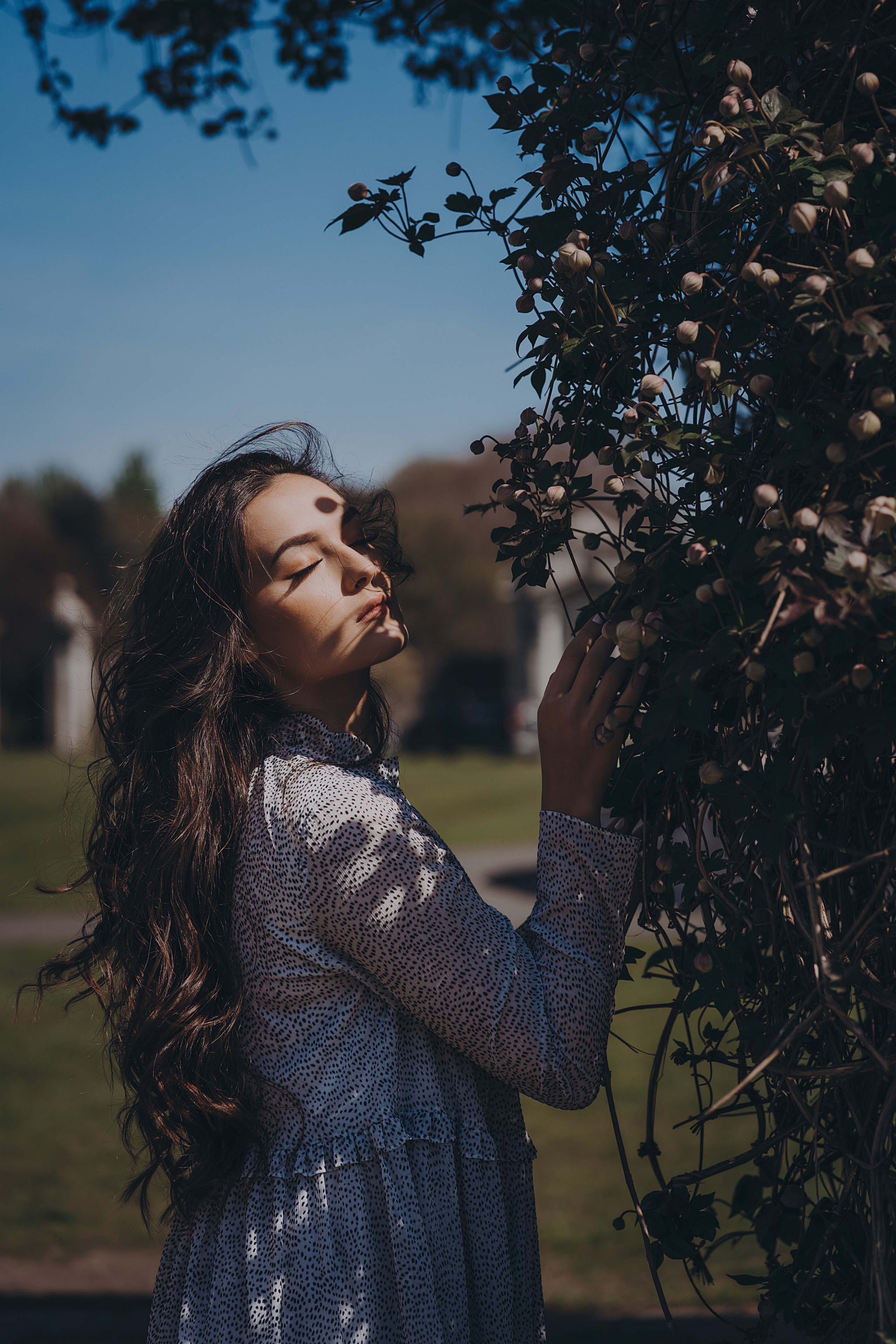 Eliza in cherry trees. Maternity/Love story/Wedding photographer