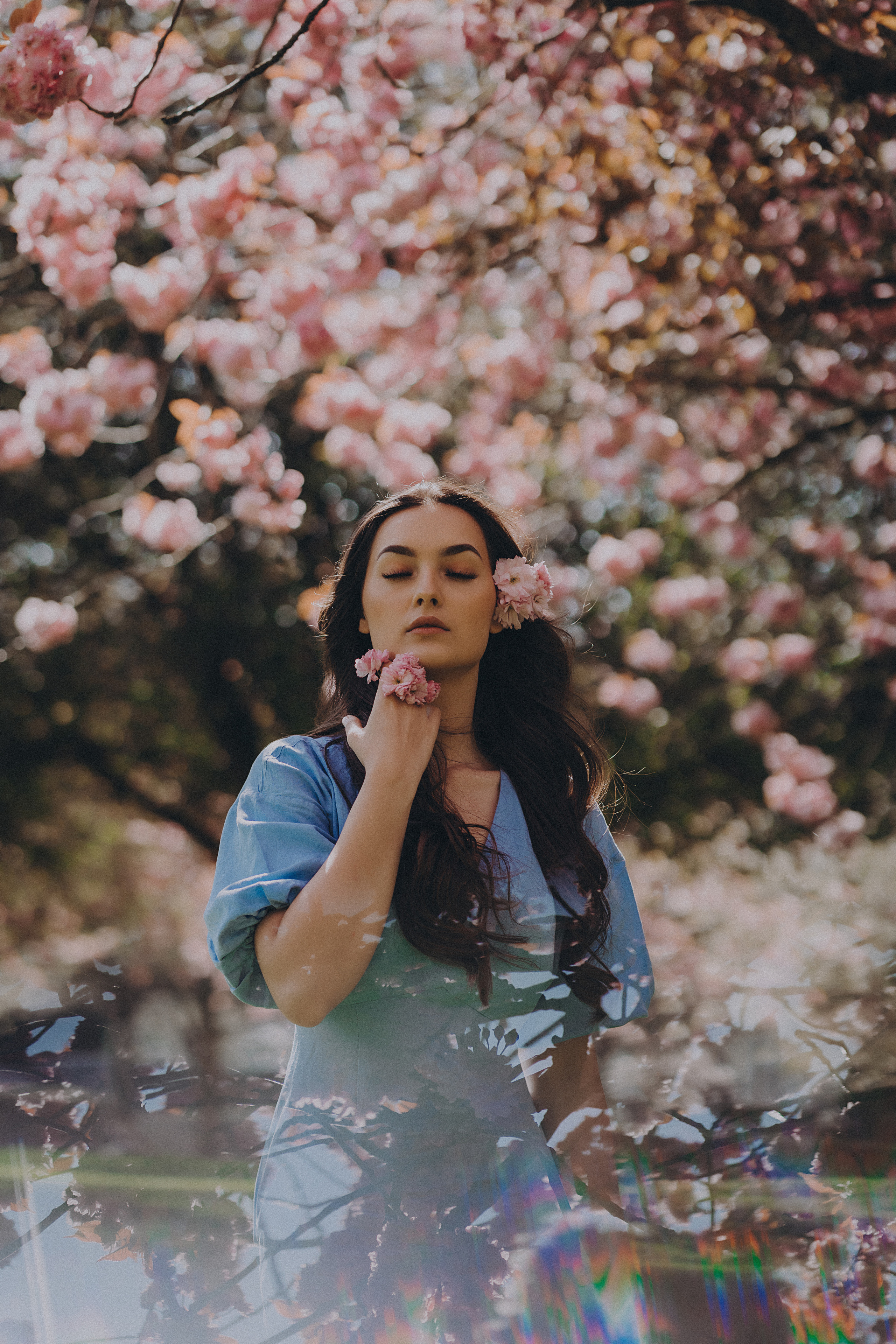 Eliza in cherry trees. Maternity/Love story/Wedding photographer