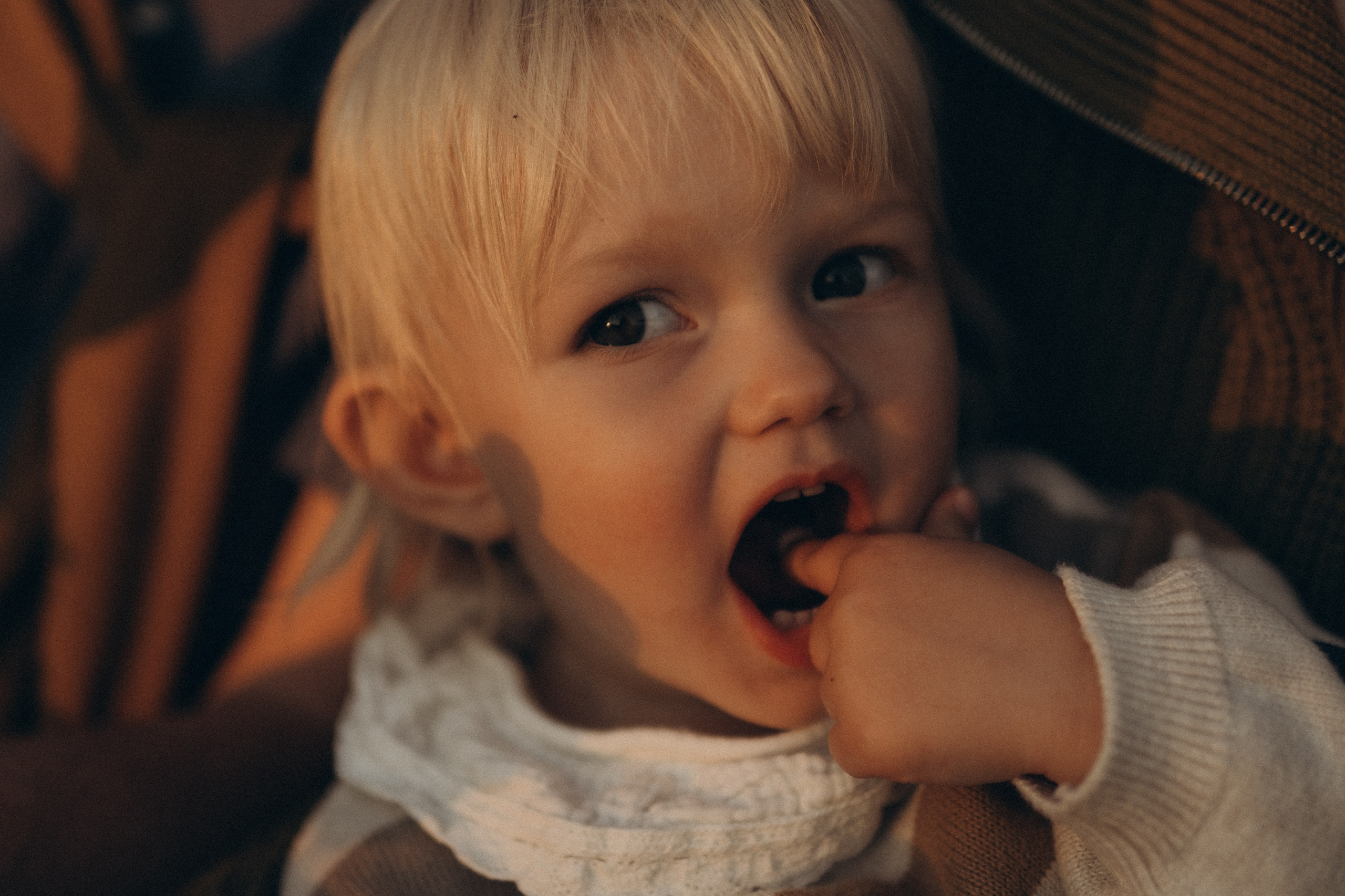 Autumn Story. Lens Captures Life