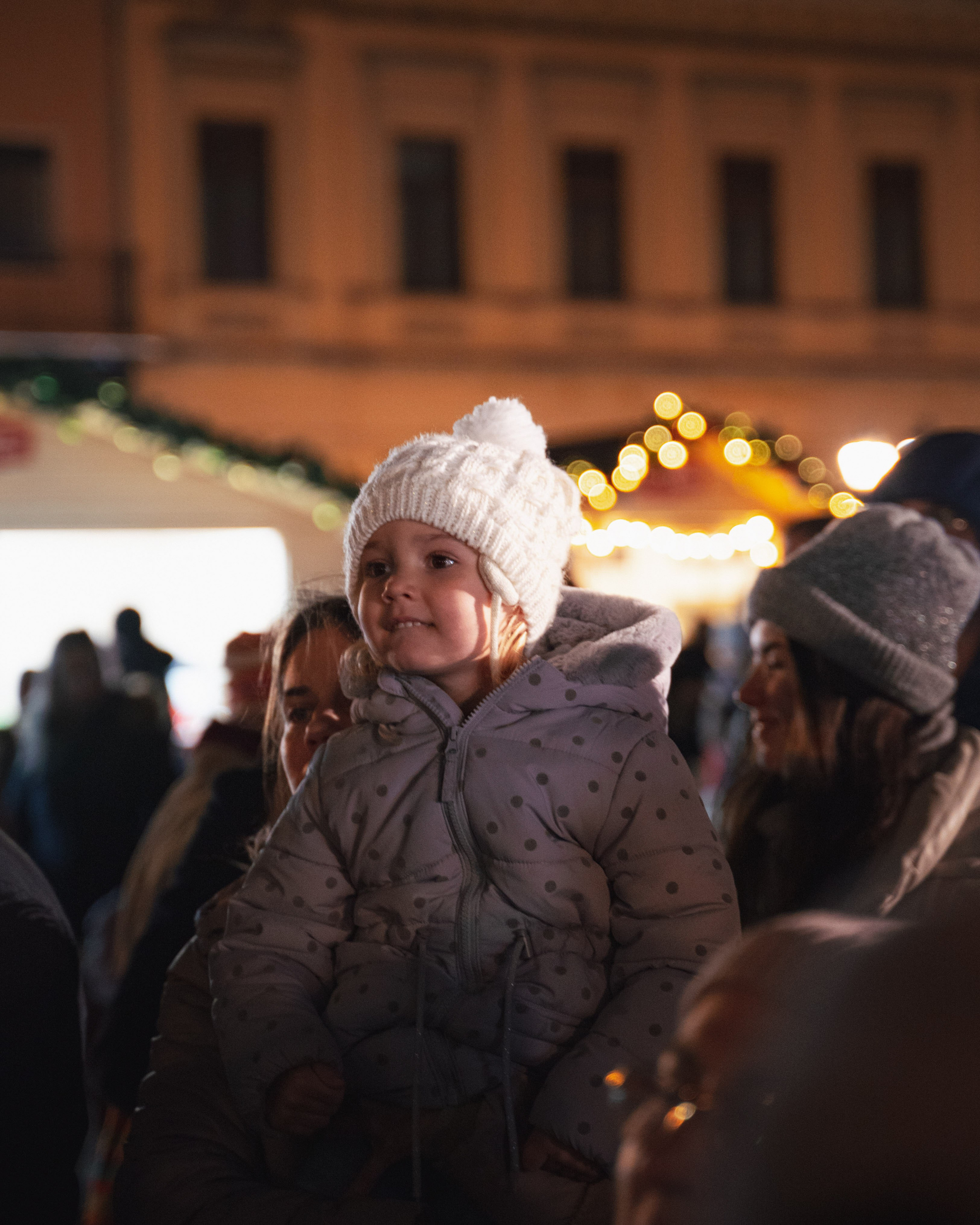 Novosadski Zimzolend. Жуков Студио