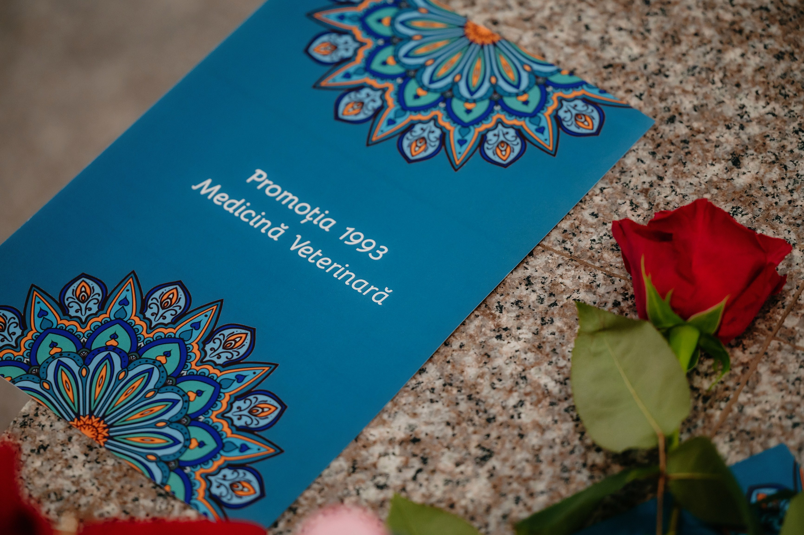 Medicina Veterinara — dupa 30 de ani…. Laurentiu Stefan StoryTeller