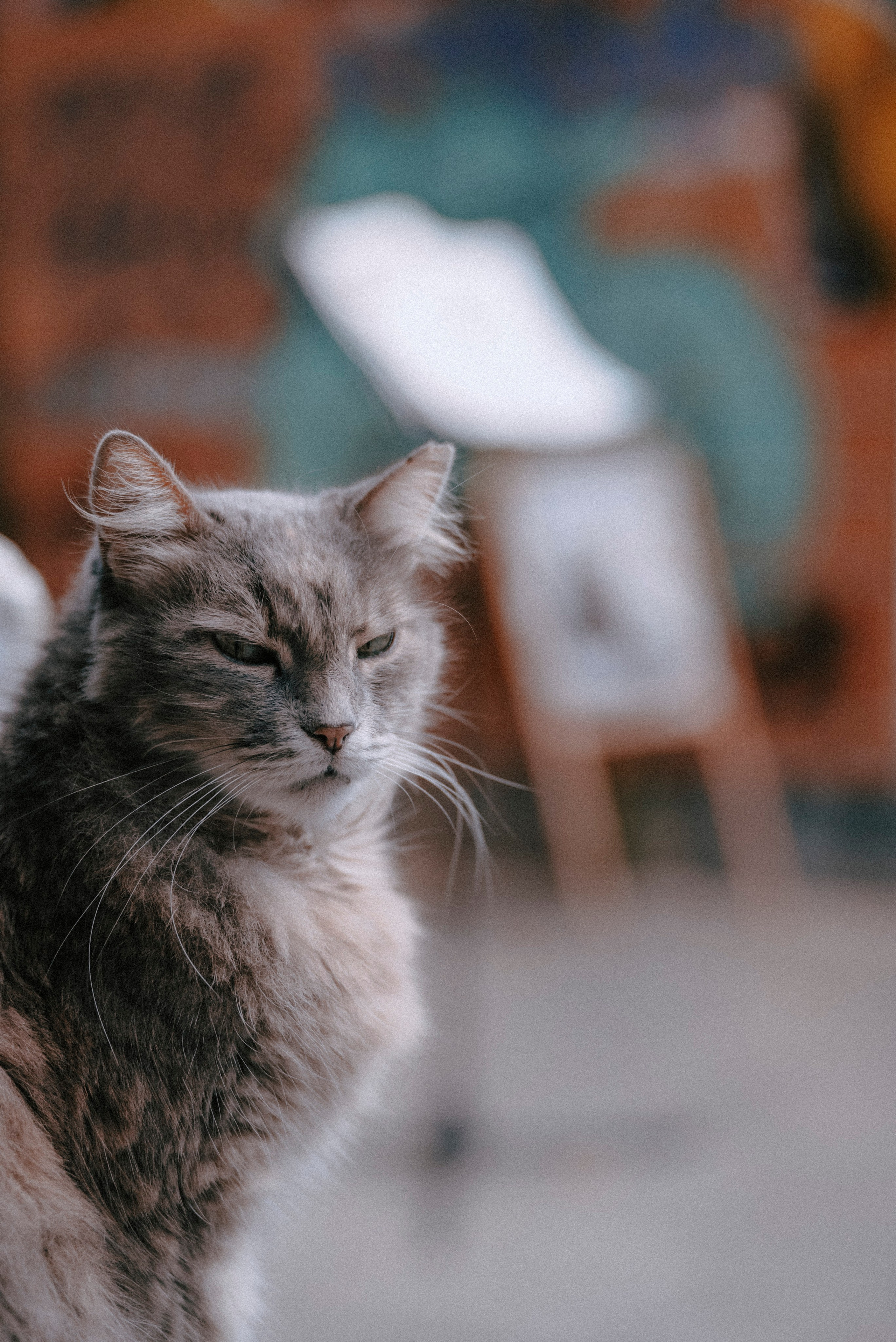 СТАМБУЛ. Стрит-фотография, полная абсурда, идиотизма и красоты