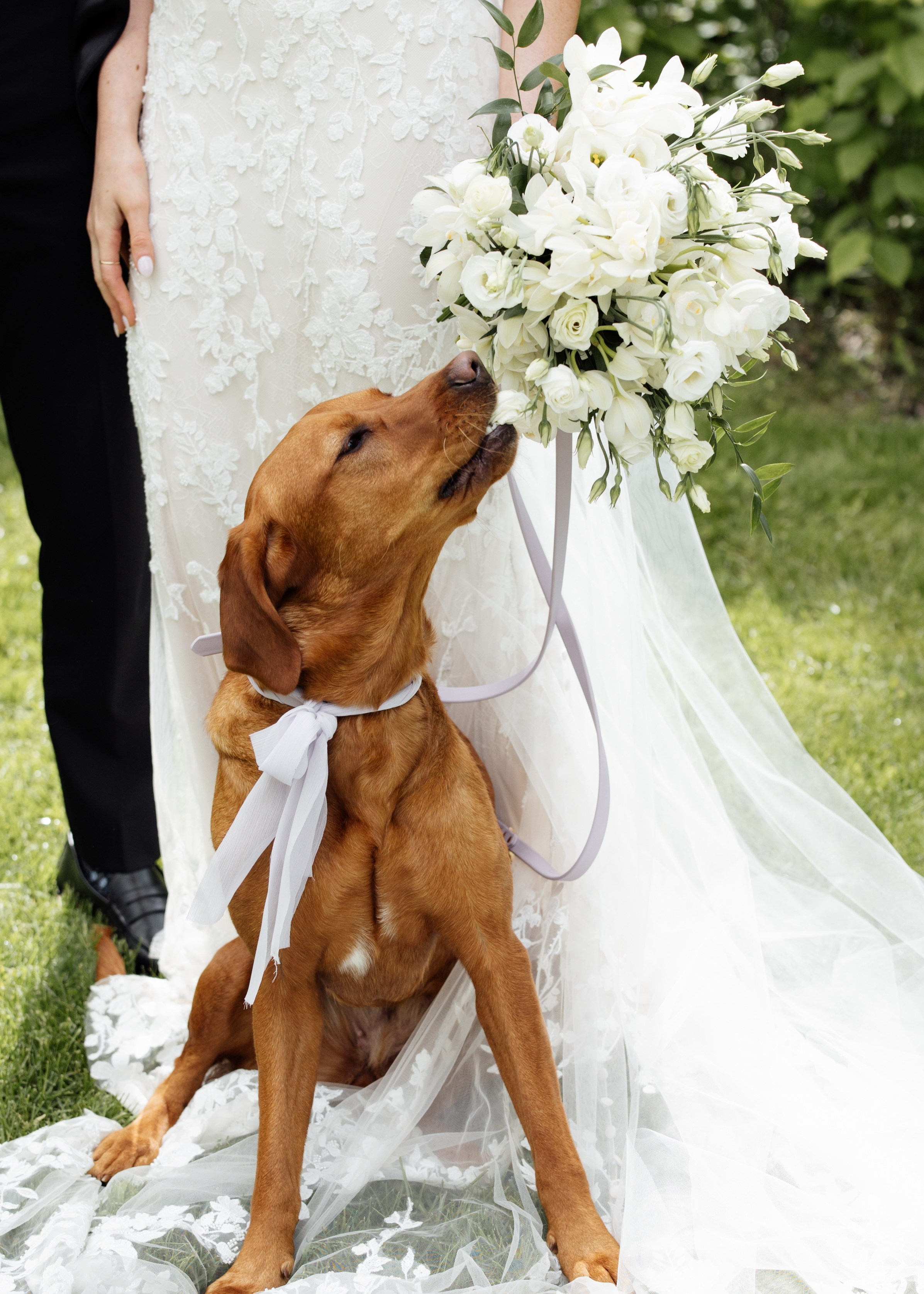 Erin & Caelan. Wedding Photographer in Winnipeg — Cinematic & Timeless by Vitiuk Photography
