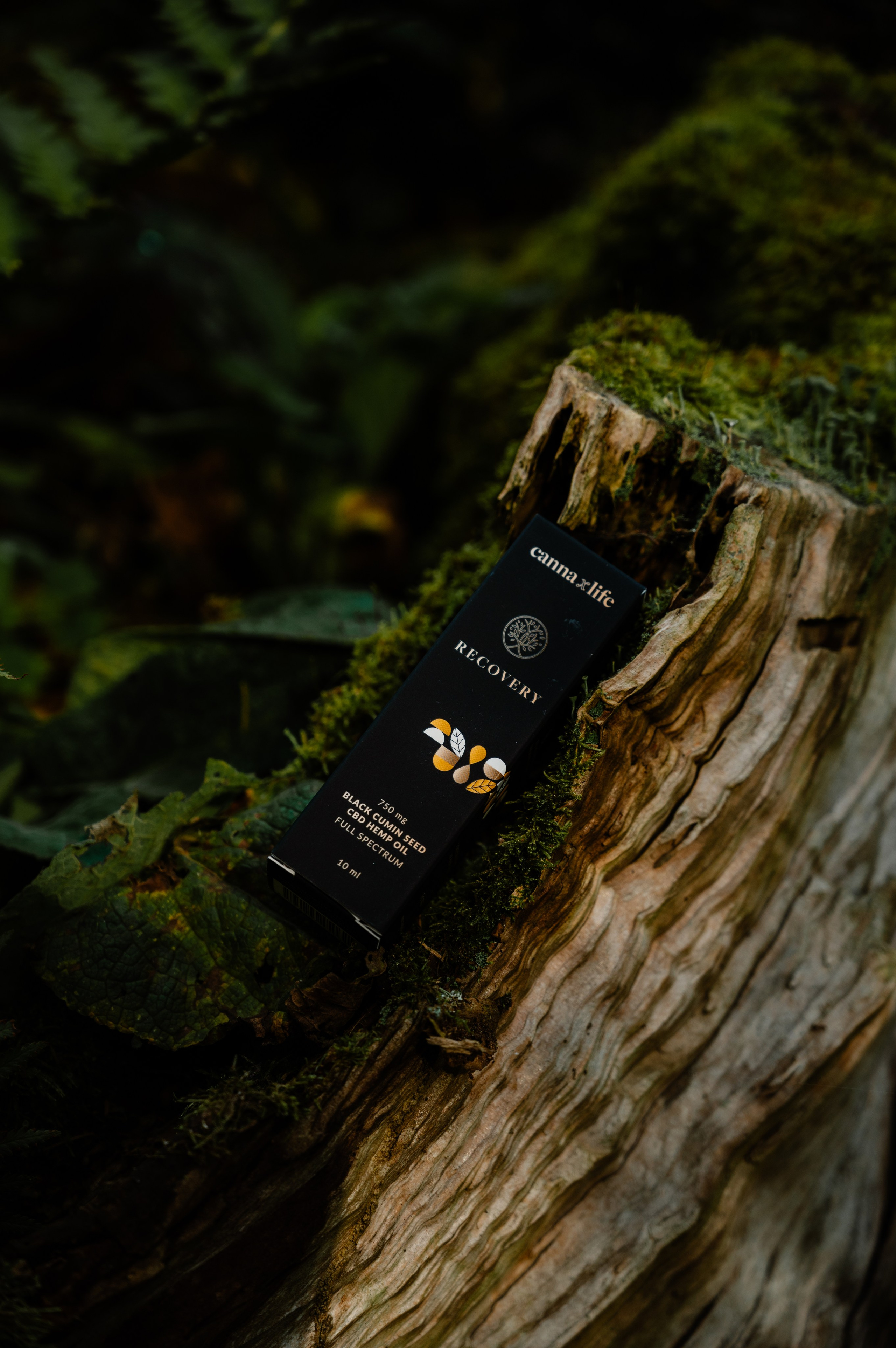 CannaXlife CBD products. ANNA-MARIA PHOTO CONTENT CREATOR — фотограф, эстет, художник и визуальный эксперт в Instagram, работающий в Праге