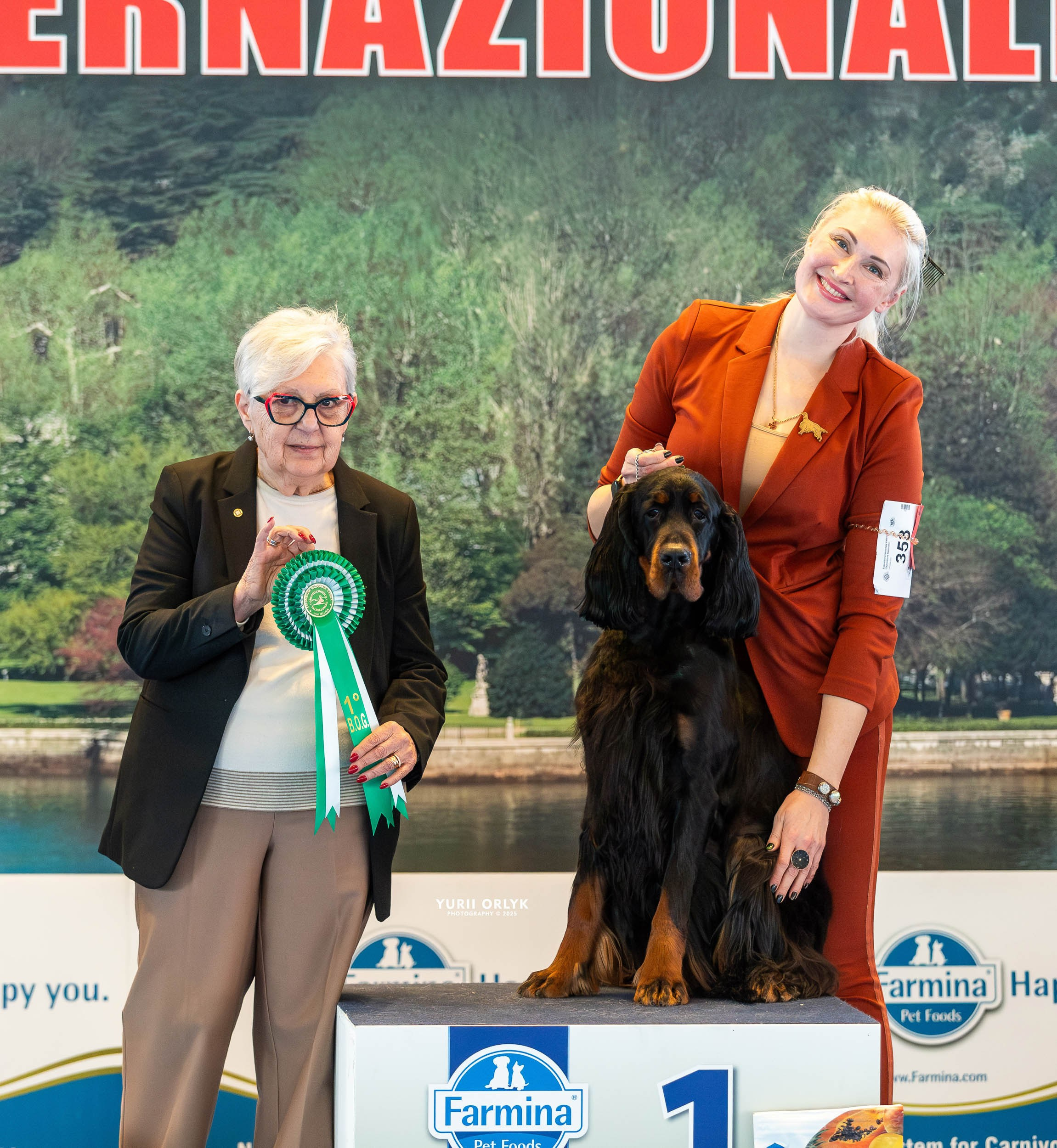 Dog Shows. Yurii Orlyk Photography