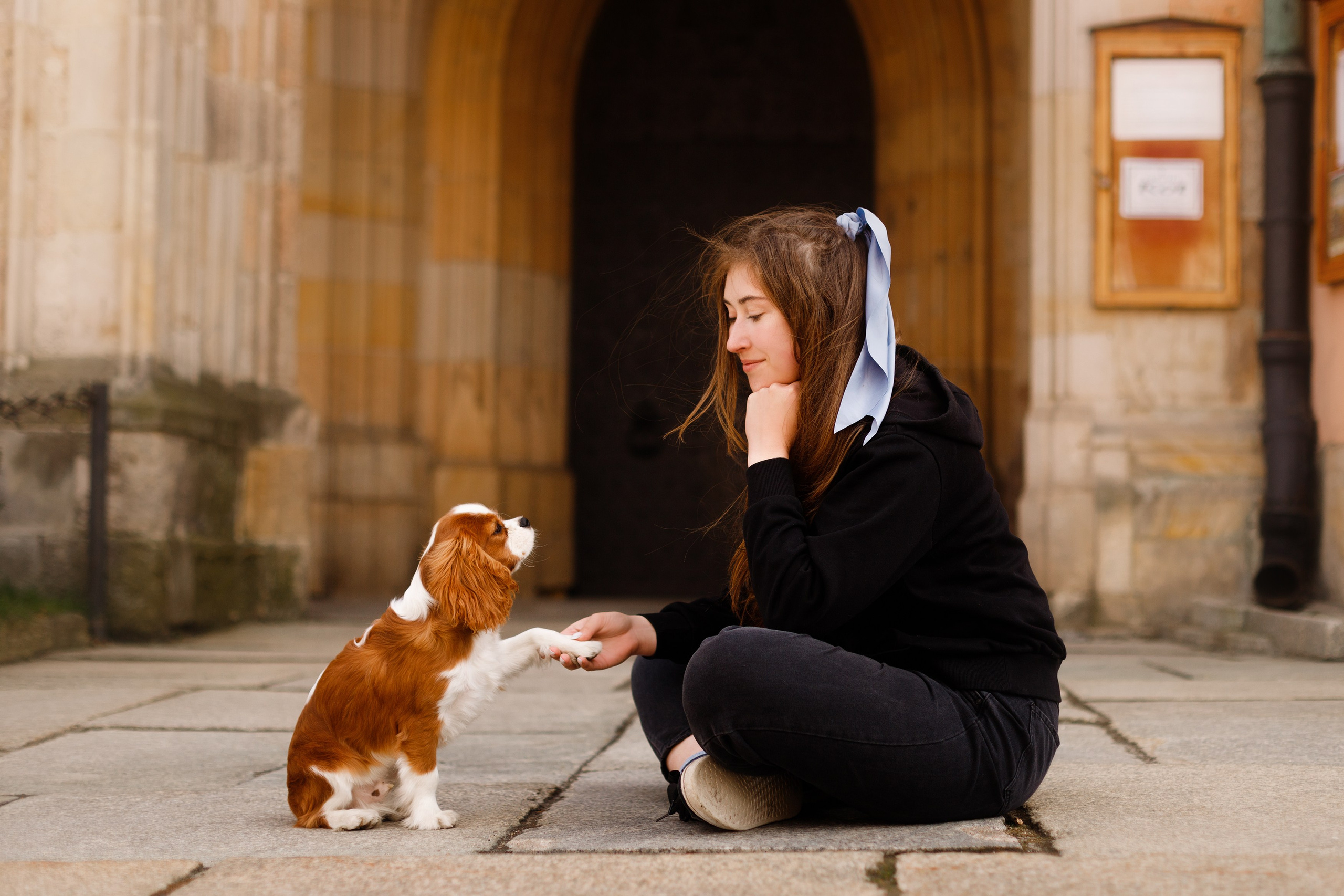 Uliana i Franklin. Kaja | fotograf we Wrocławiu | ludzie i psy