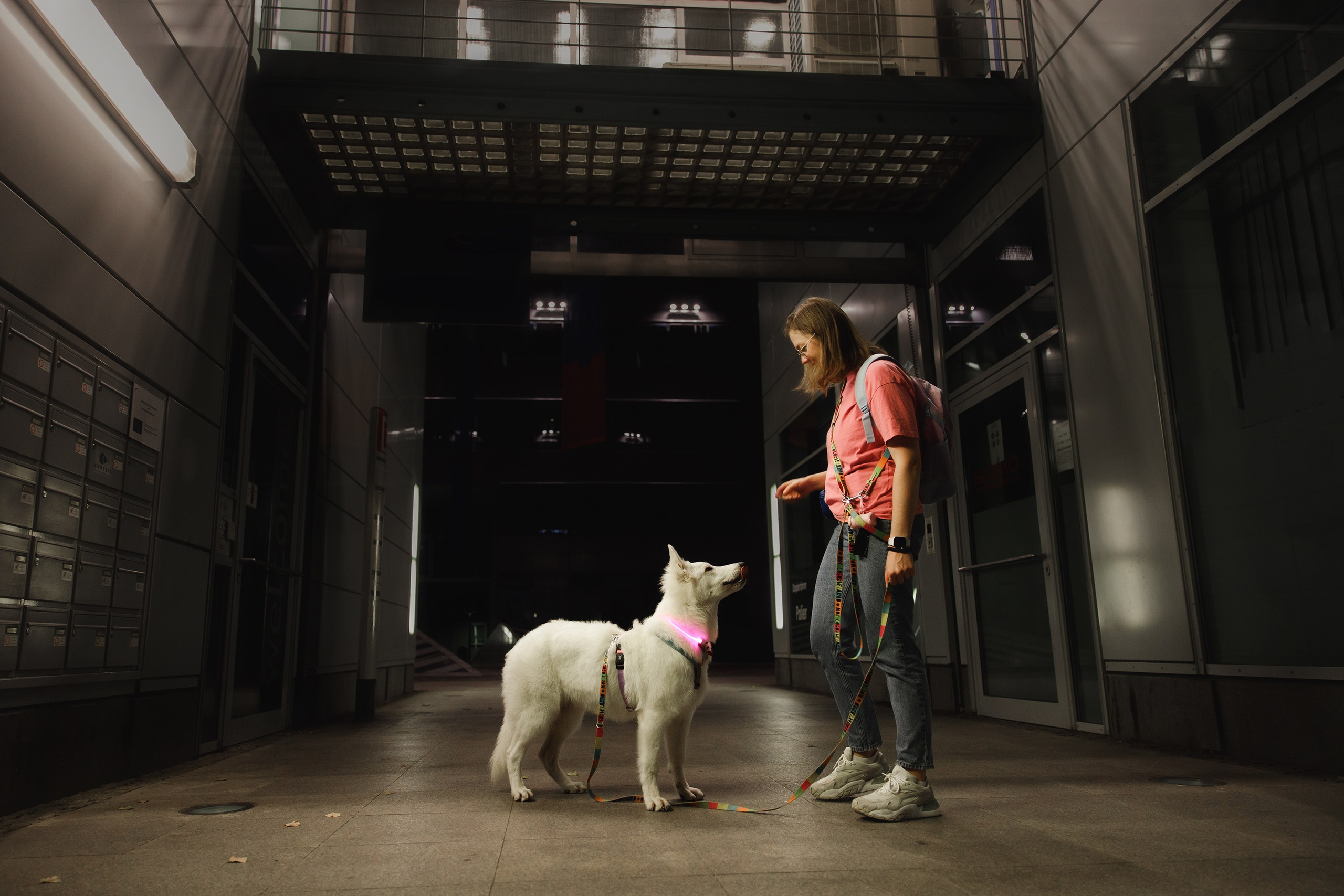 Astra in Leipzig. Kaja | fotograf we Wrocławiu | ludzie i psy