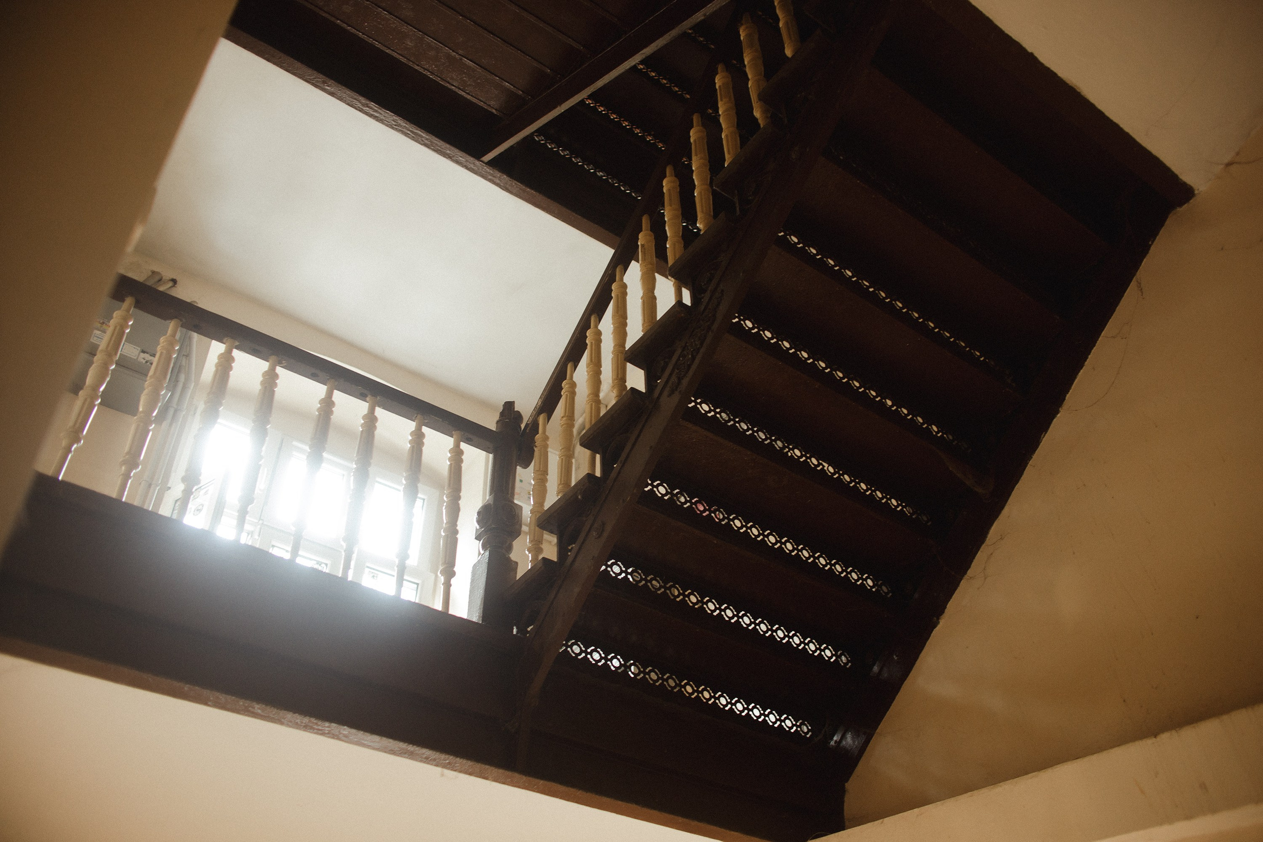 Nastya. Kaja | fotograf psów we Wrocławiu