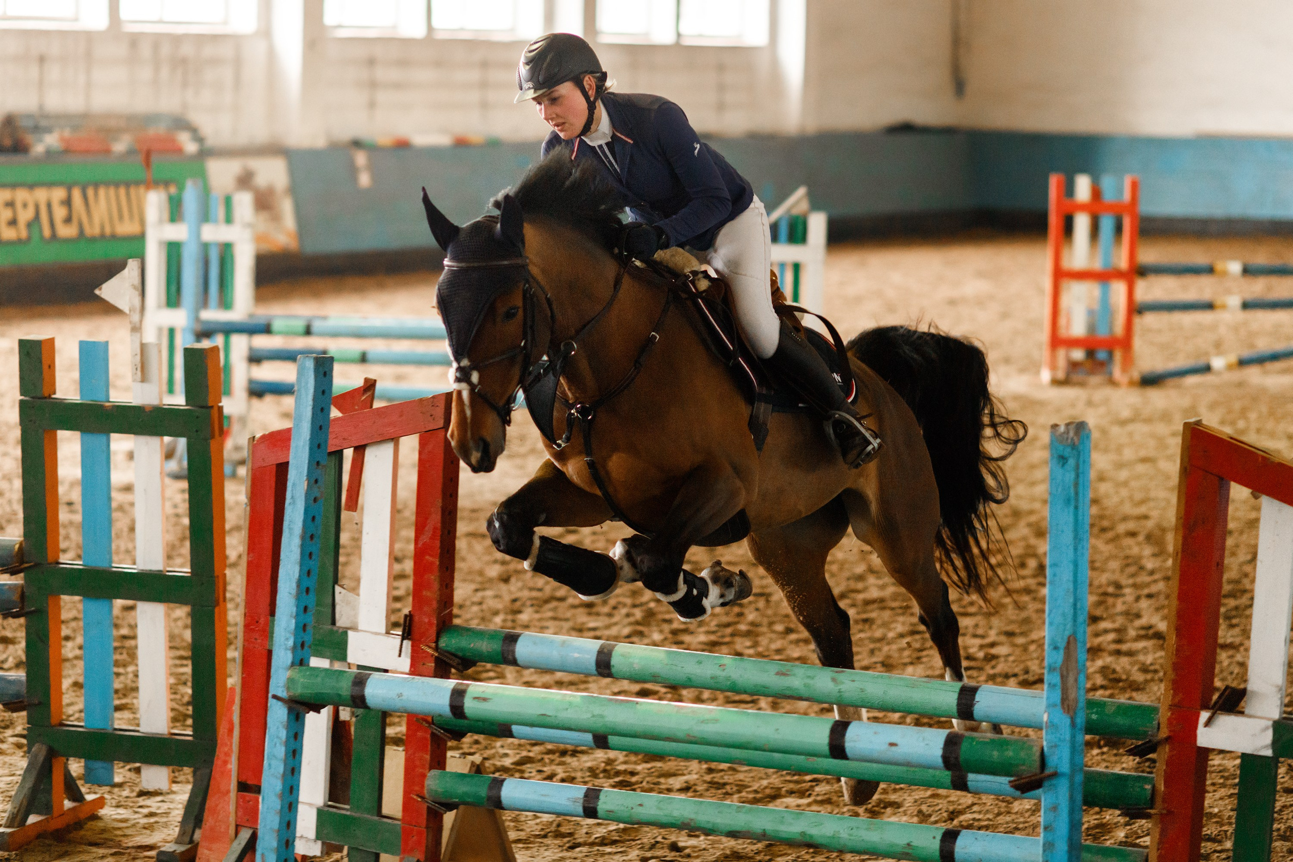 Winter show jumping in «Progress». Kaja | fotograf we Wrocławiu | ludzie i psy