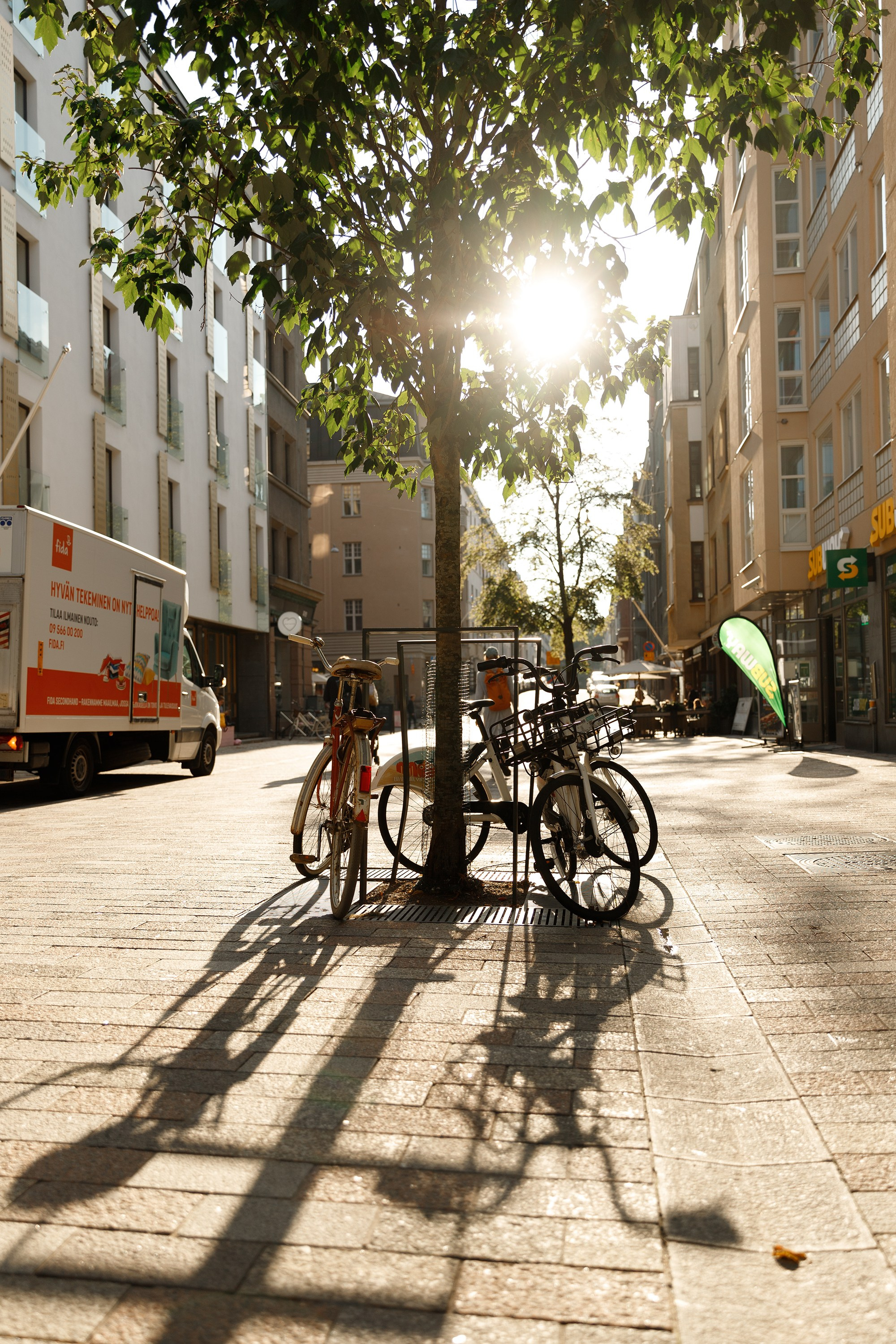 Helsinki. Kaja | fotograf psów we Wrocławiu