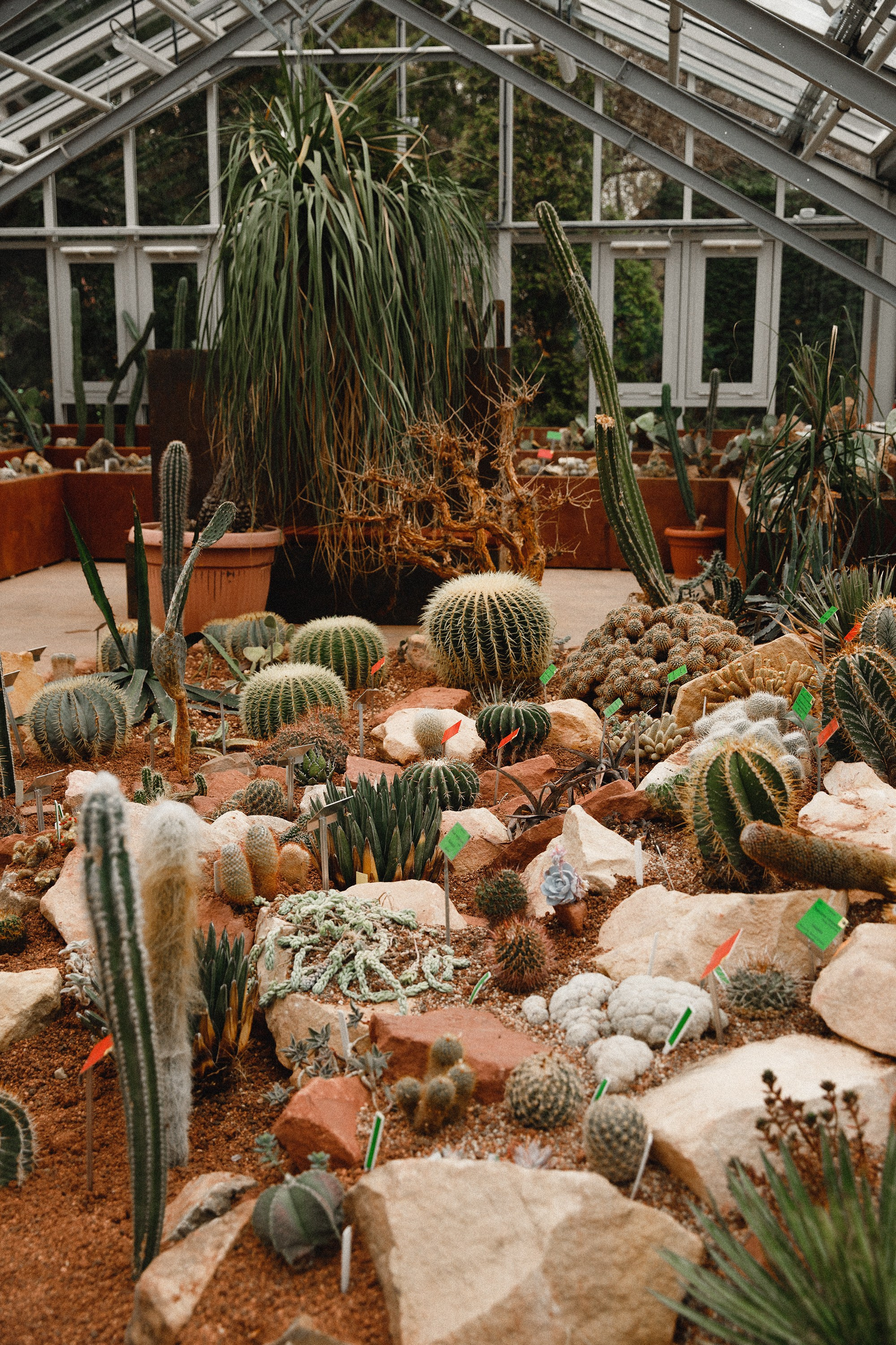 Botanical garden in Wroclaw. Kaja | fotograf we Wrocławiu | ludzie i psy