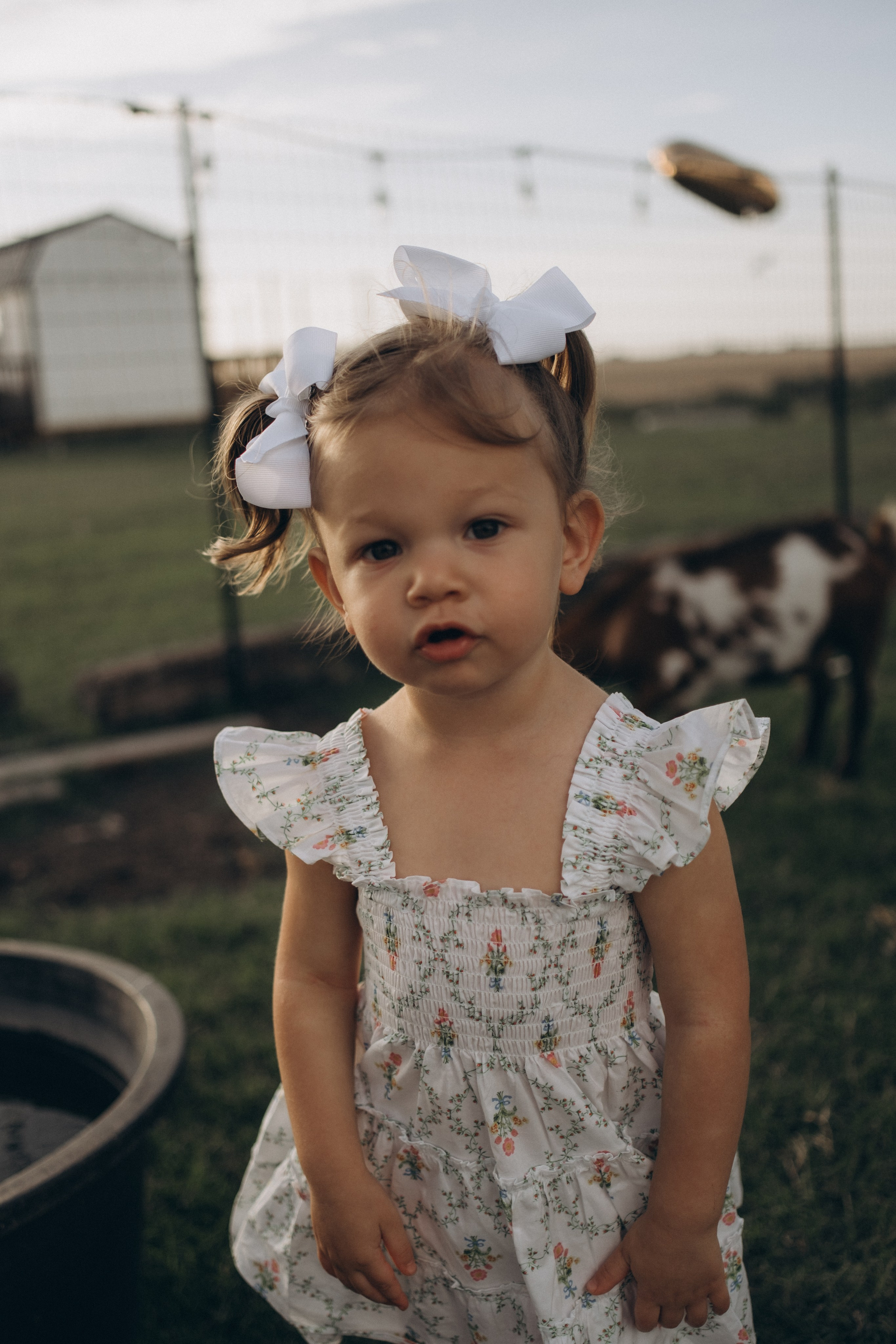 Summer Moments. Lens Captures Life