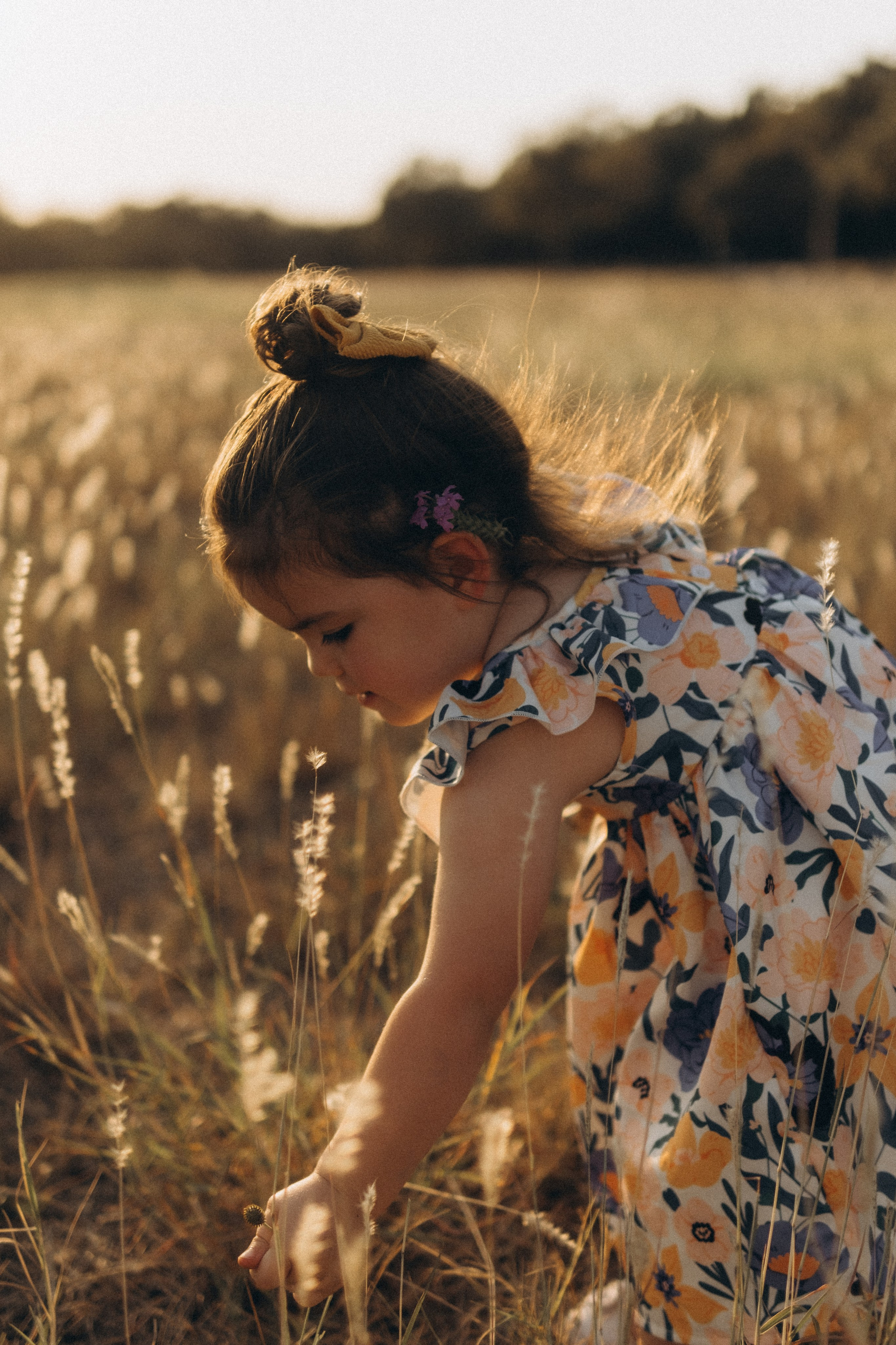 Golden Hour. Lens Captures Life