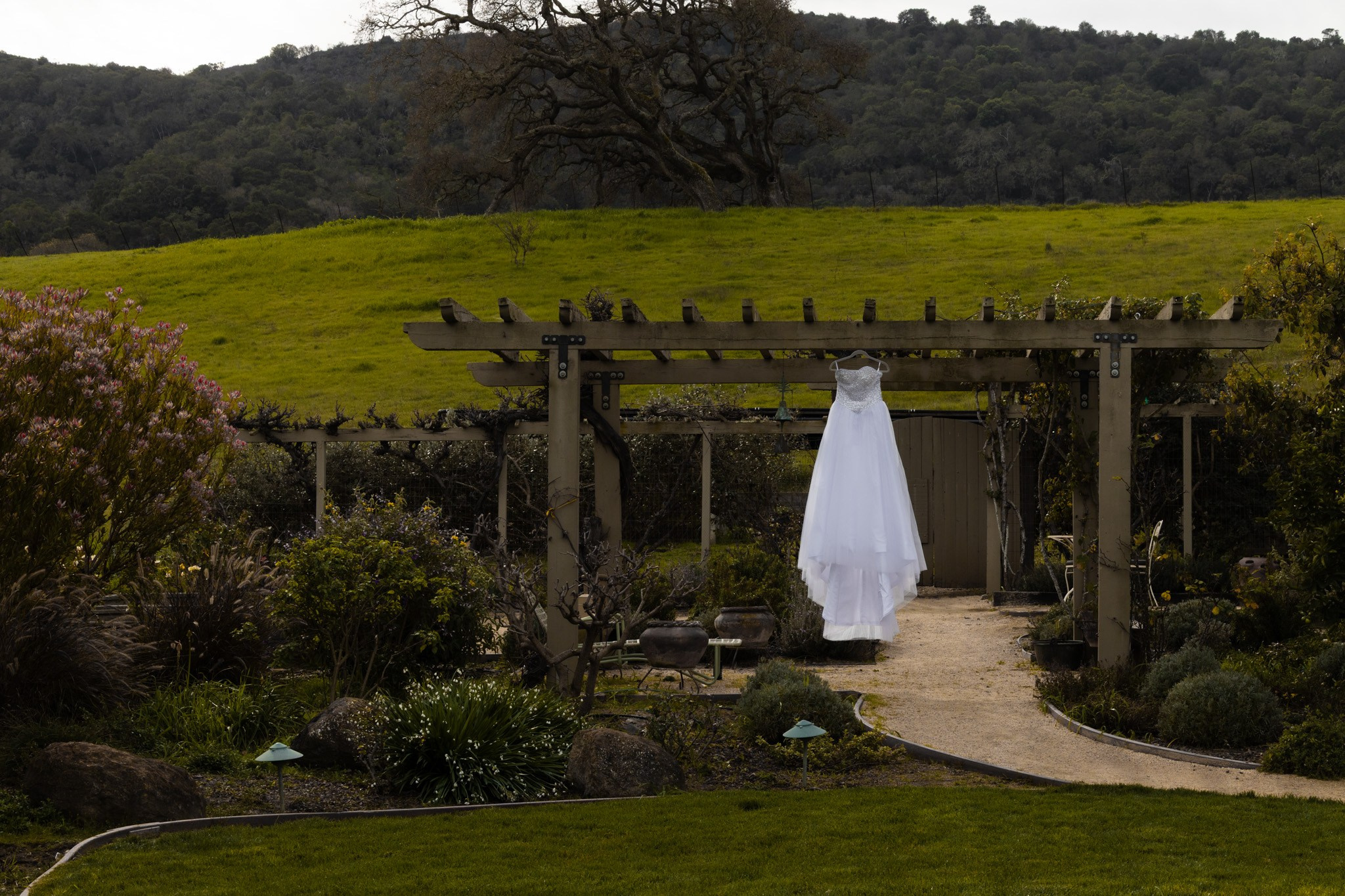 Aldo Brambila fotografo de eventos y sociales