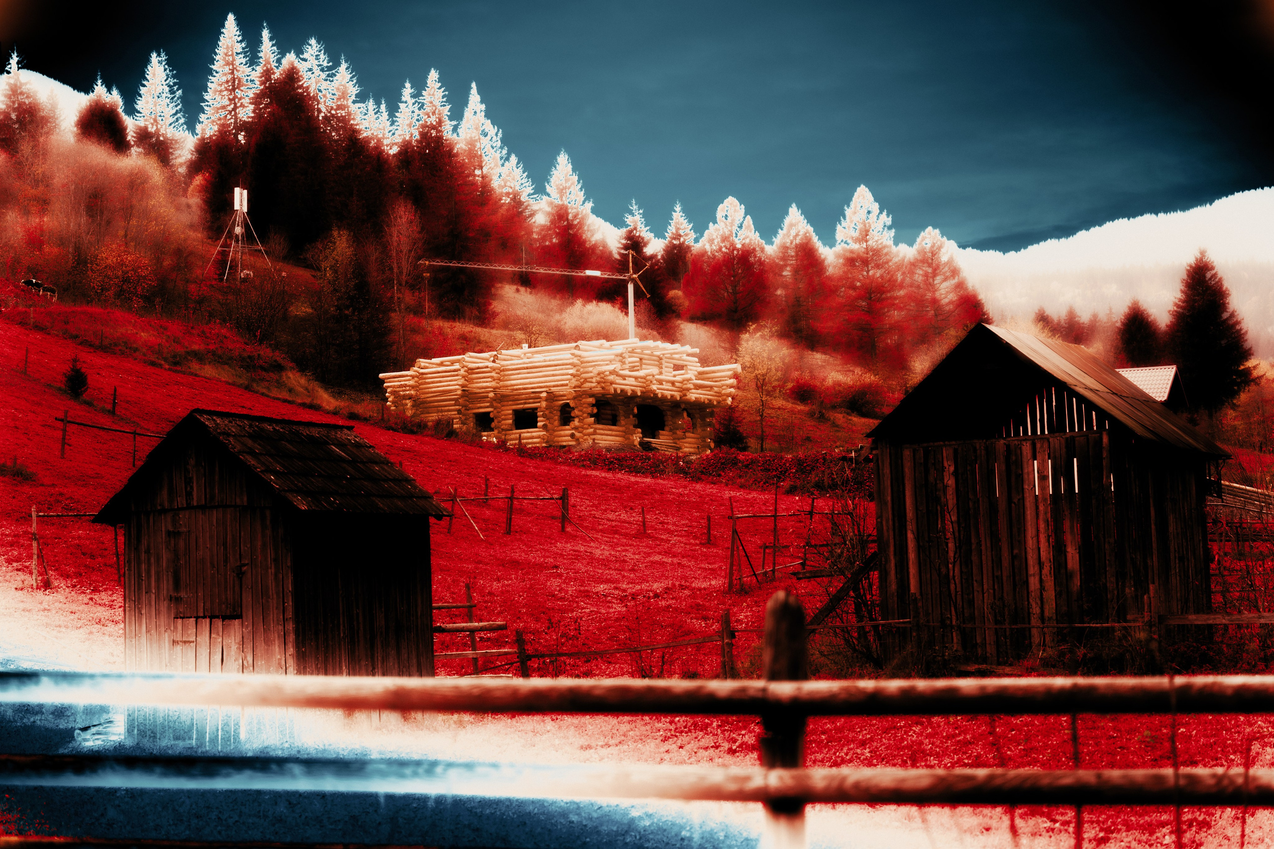 ART. Alexandru Raileanu