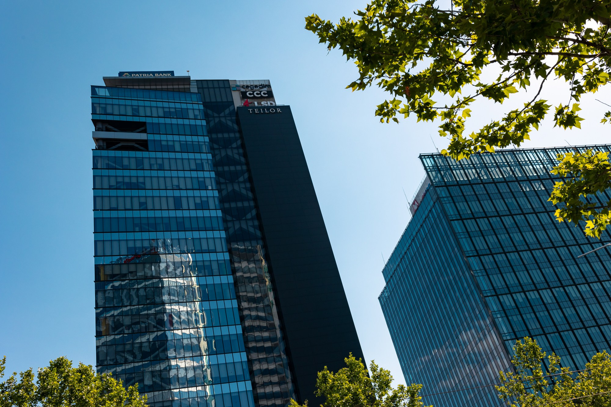 The Grid. A Creative Insight | Catalin Nastase