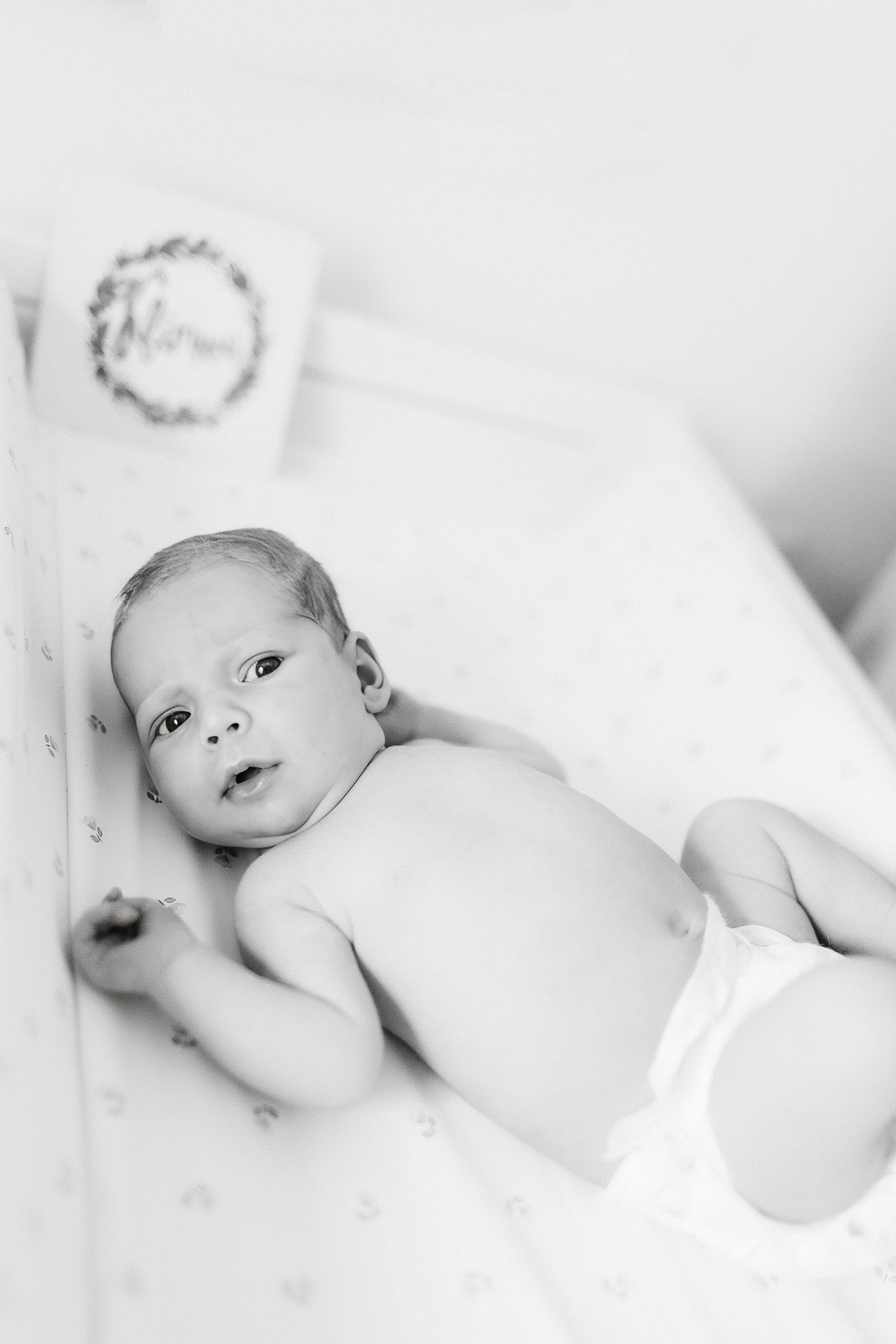 Ella 2 month. Family photographer in Israel