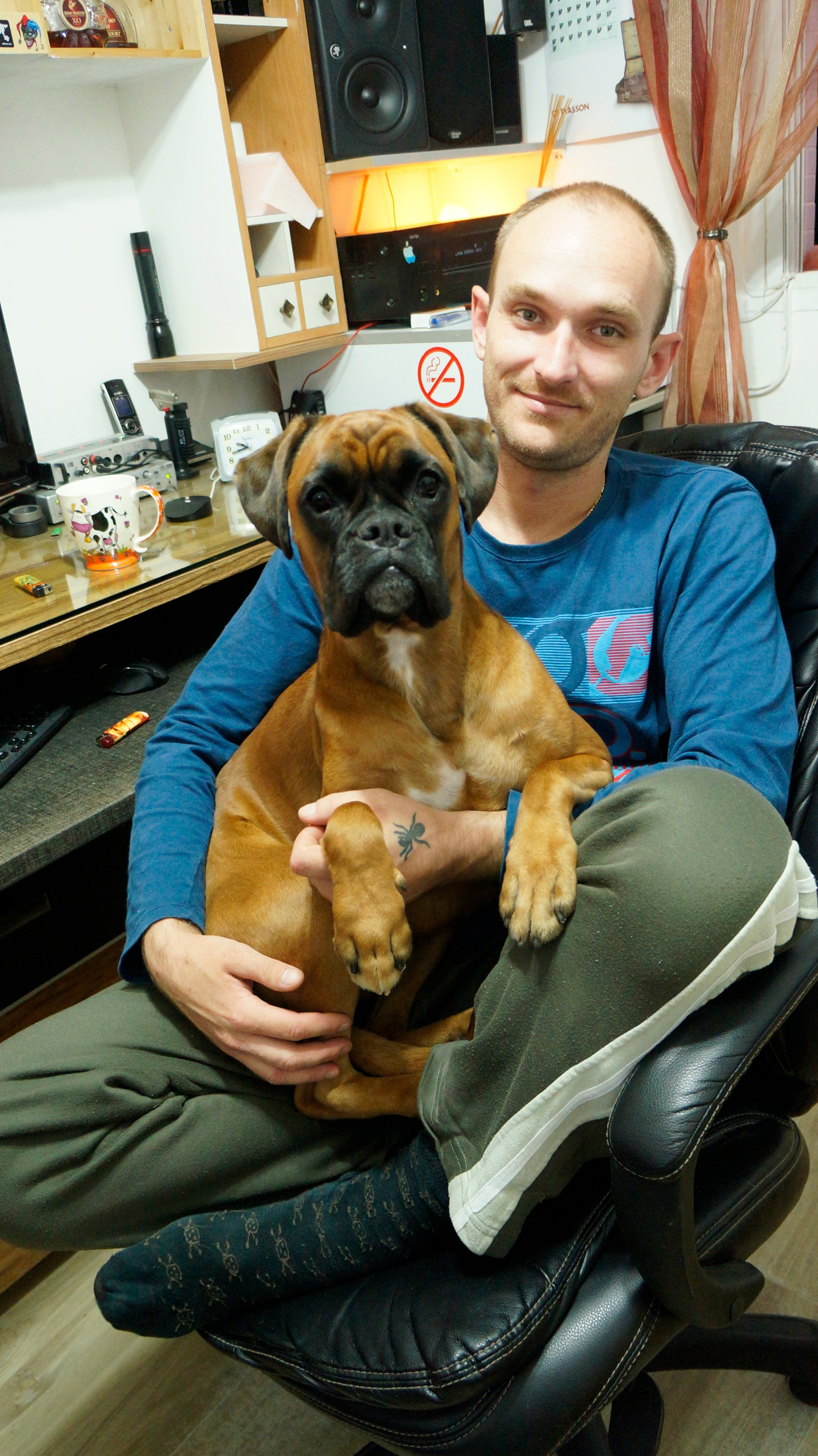 My ״Star״ Boxer Dog