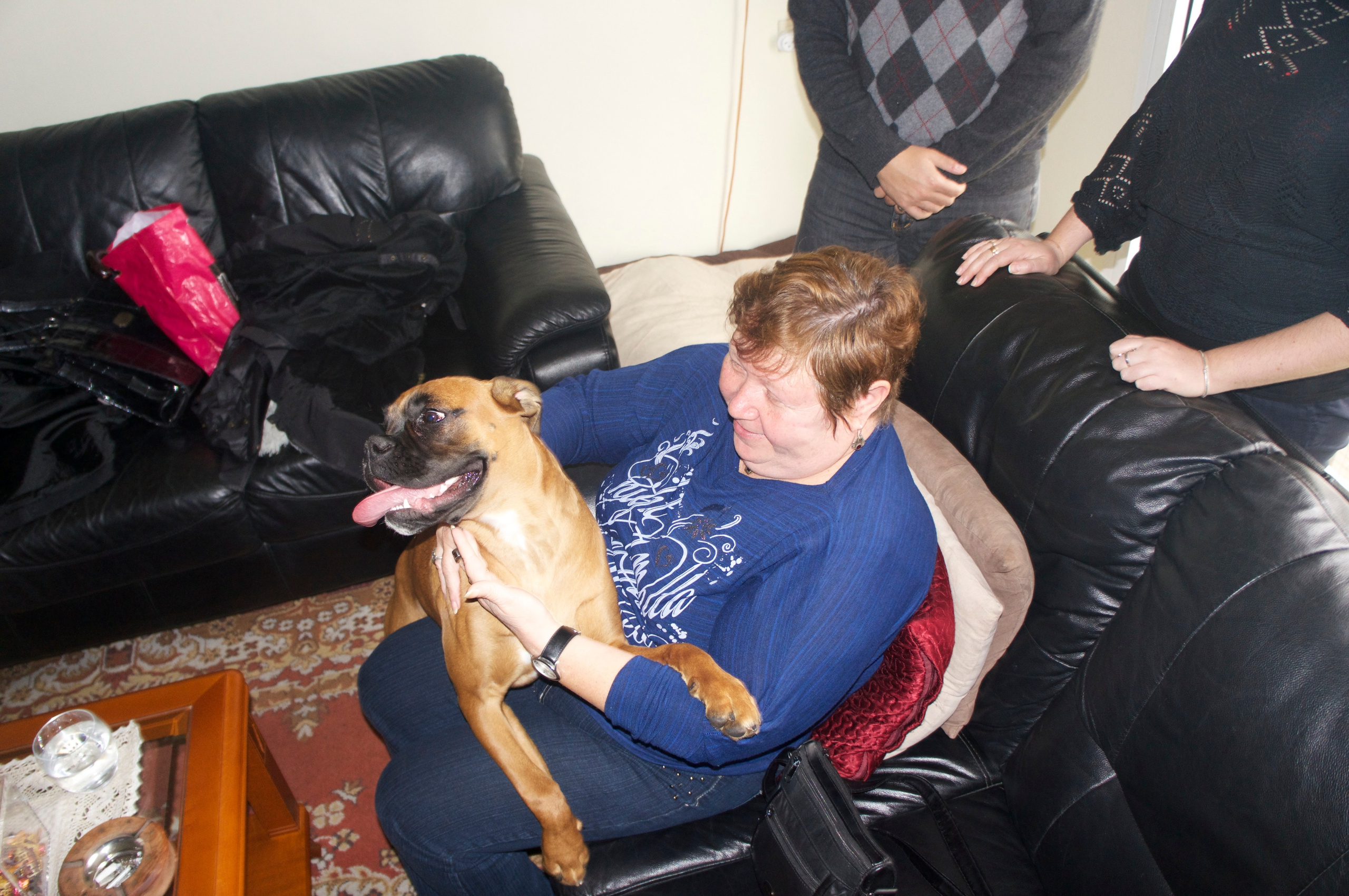 My ״Star״ Boxer Dog